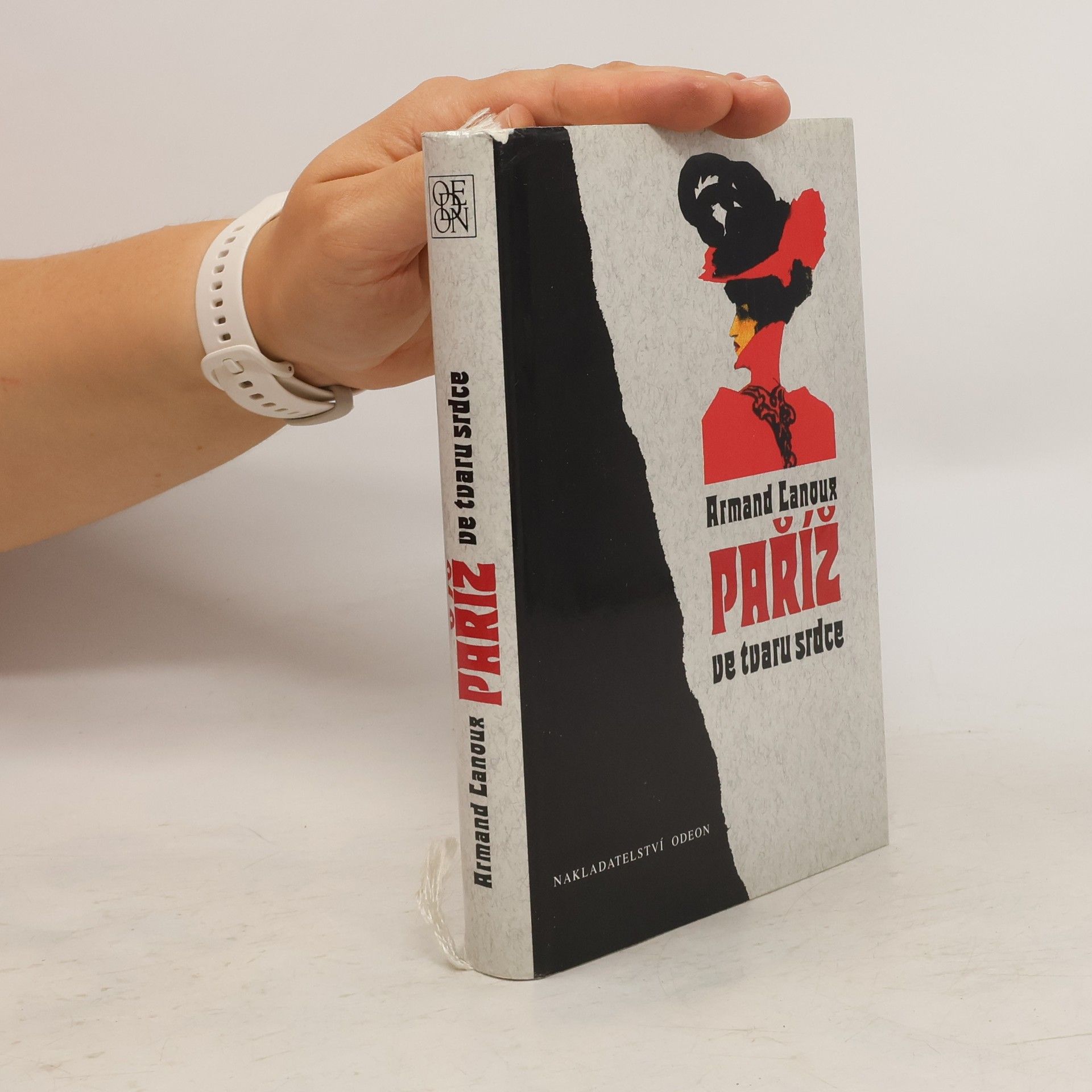 Paříž ve tvaru srdce