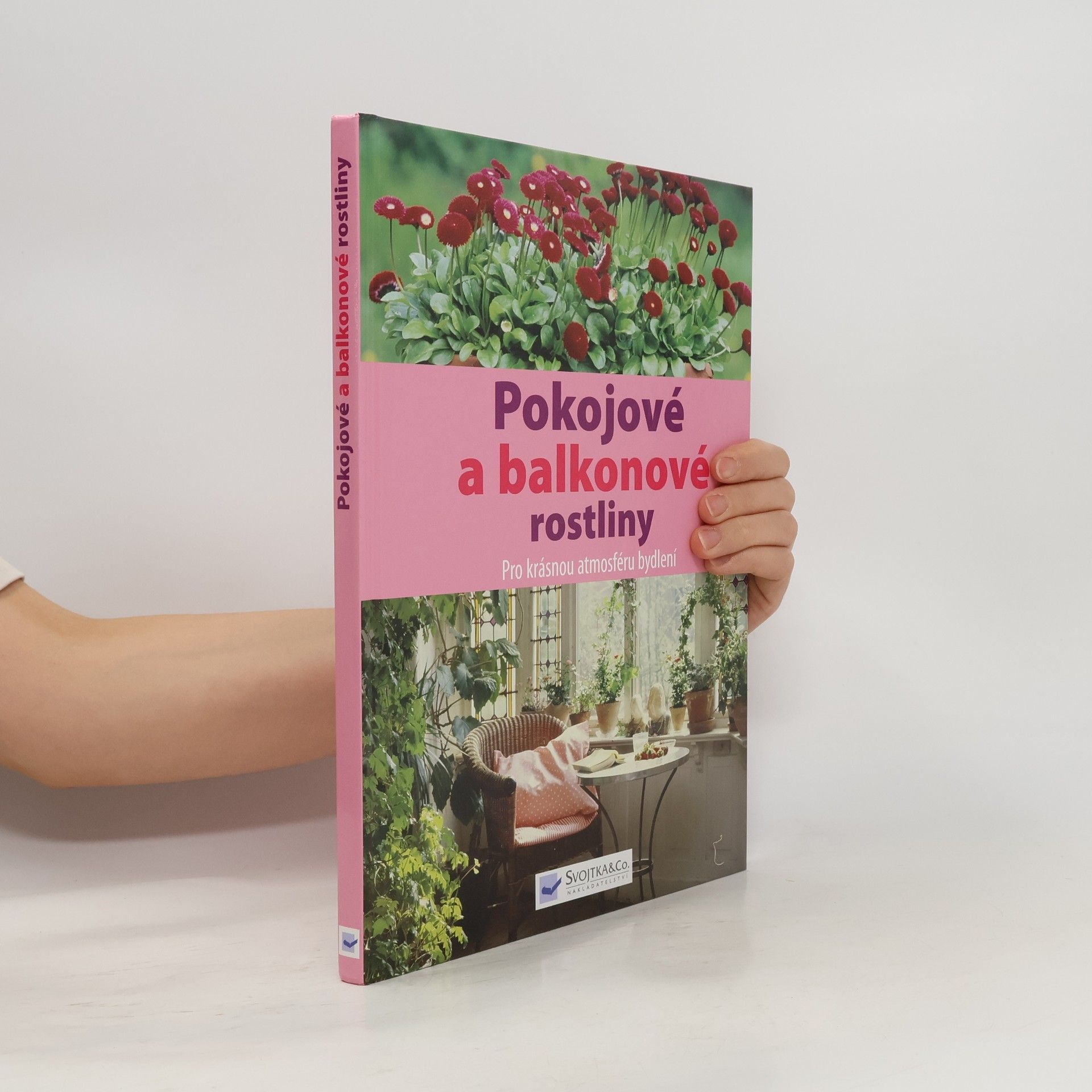 Autorenkollektiv Pokojové a balkonové rostliny