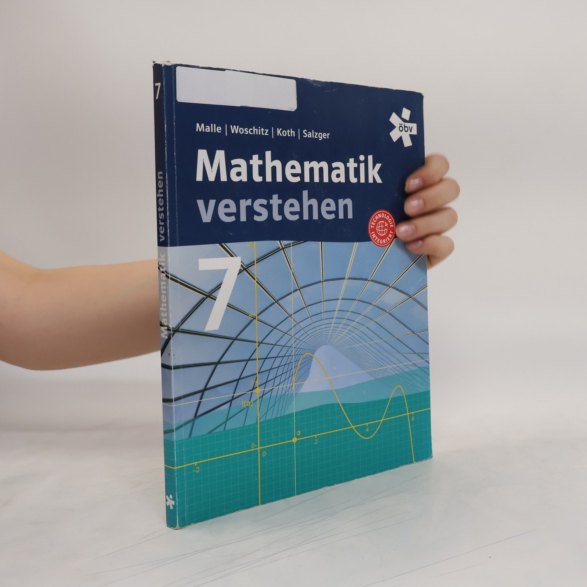 Mathematik verstehen 7
