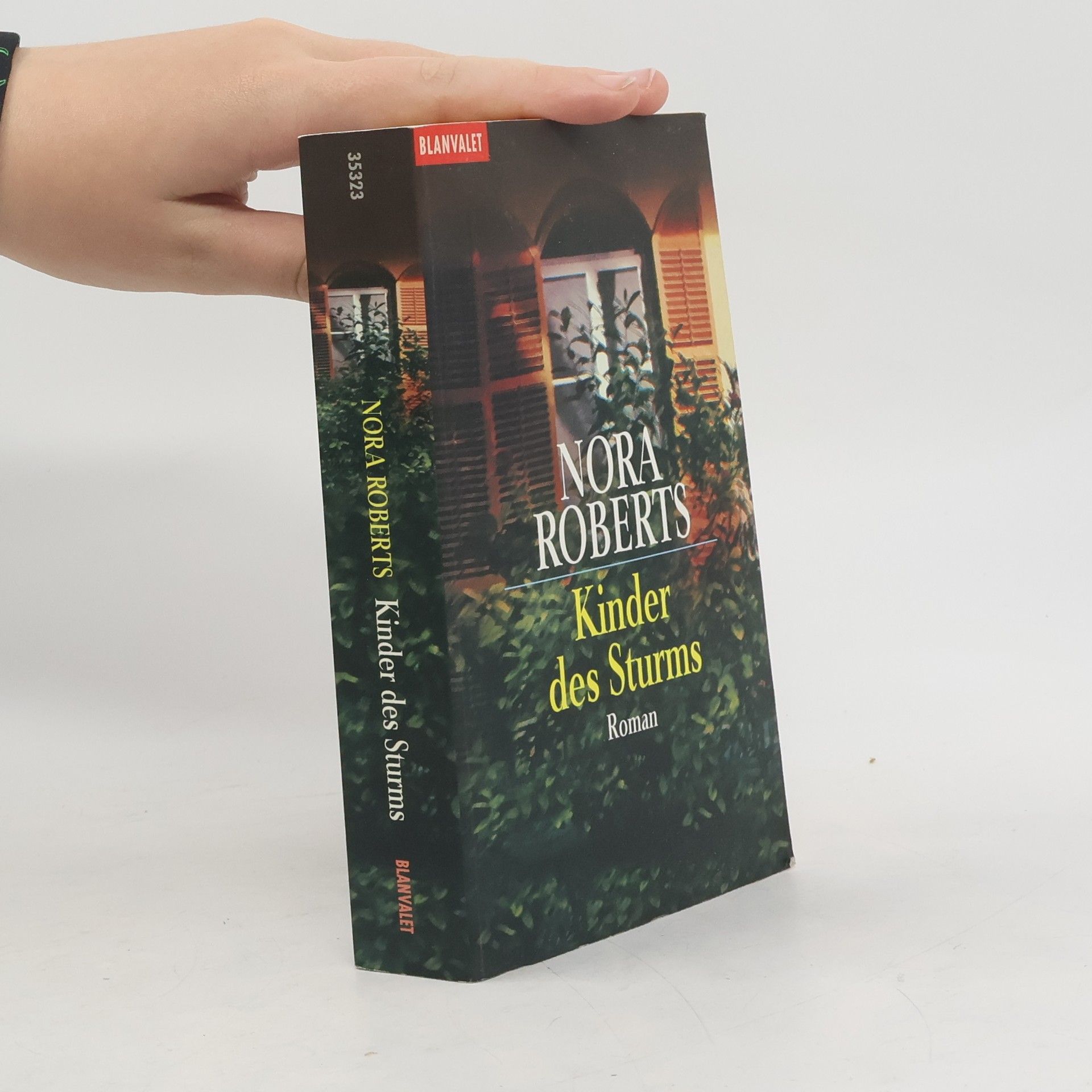 Nora Roberts Kinder des Sturms