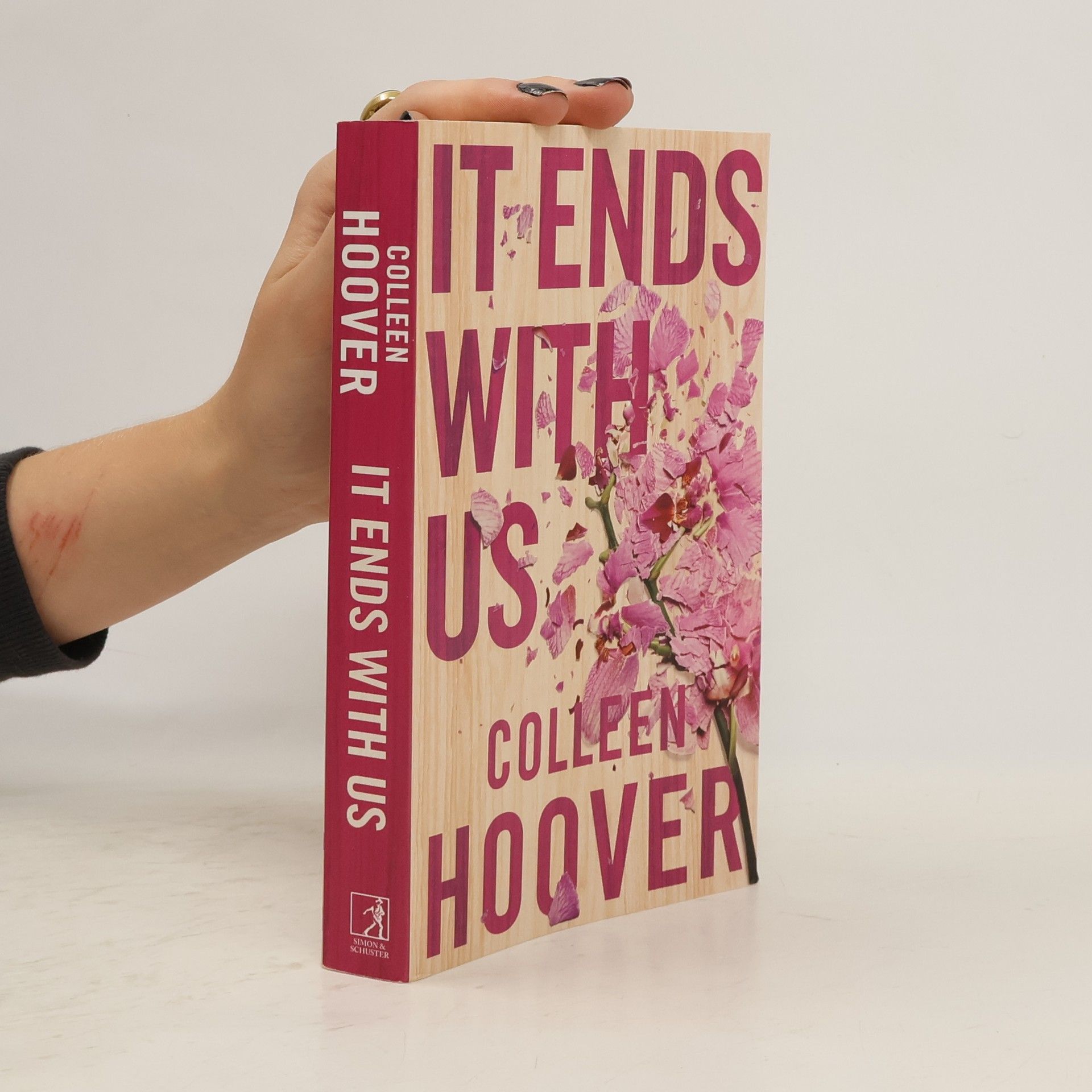 Colleen Hoover It Ends With Us