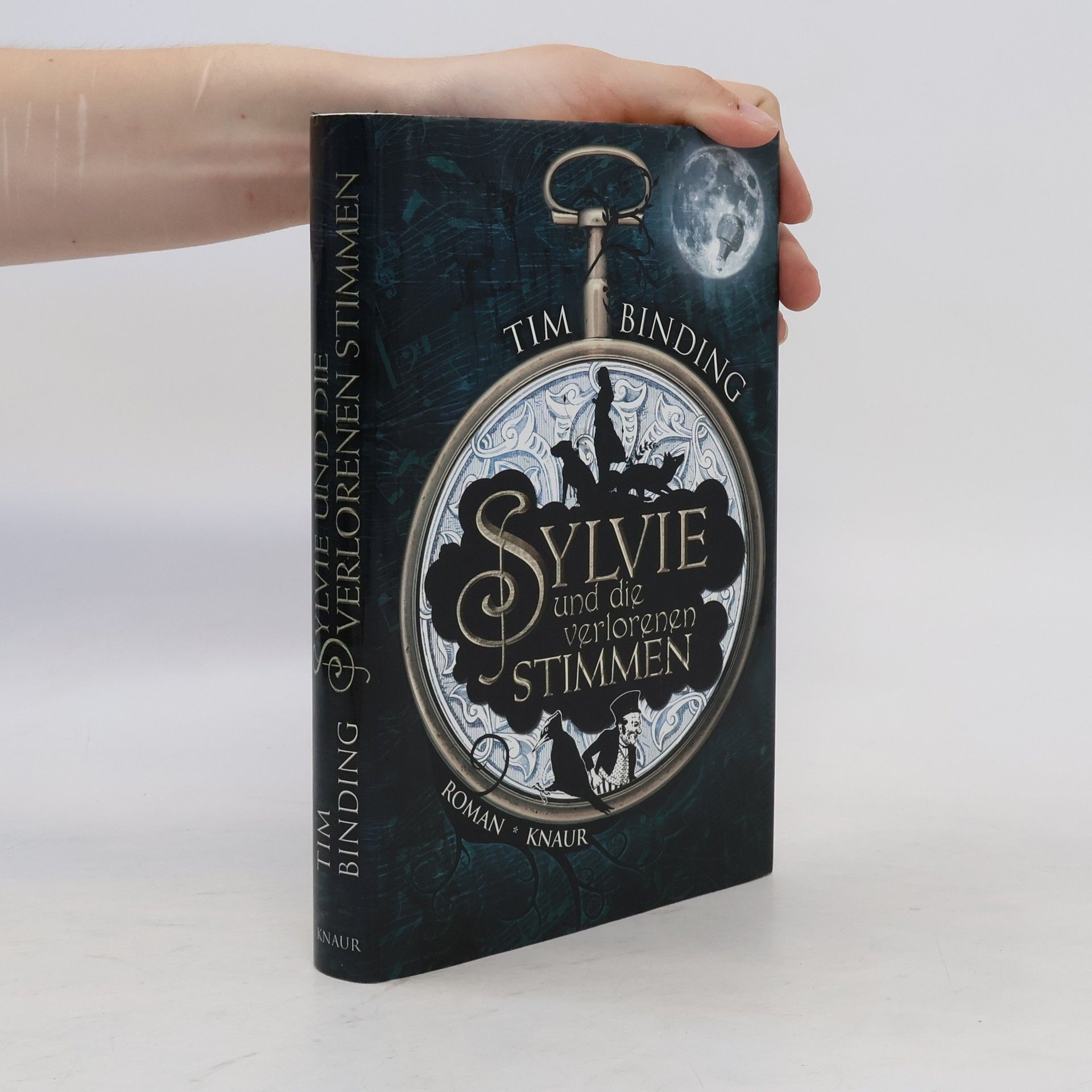 Tim Binding Sylvie und die verlorenen Stimmen
