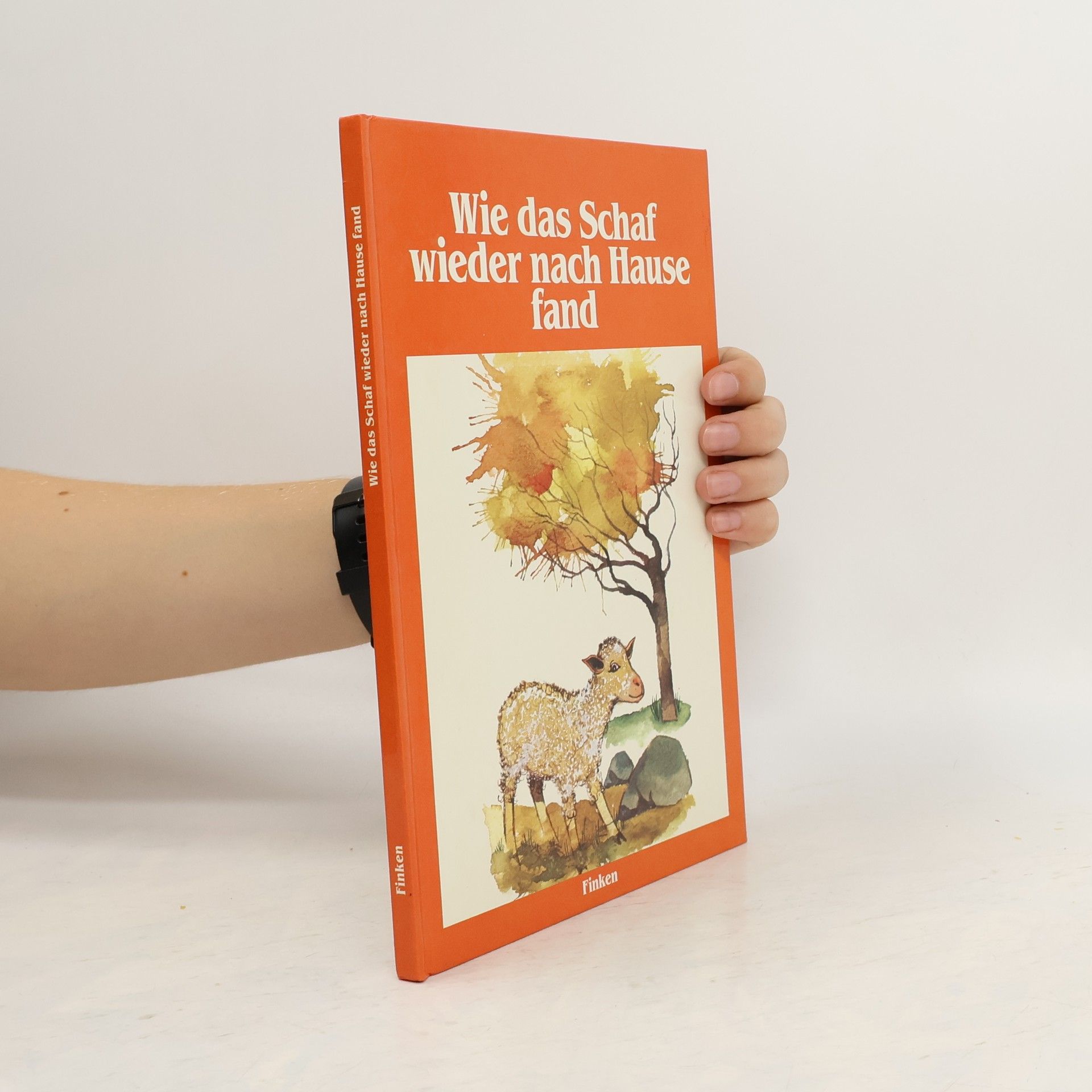 Anneli Pikkanen Wie das Schaf wieder nach Hause fand