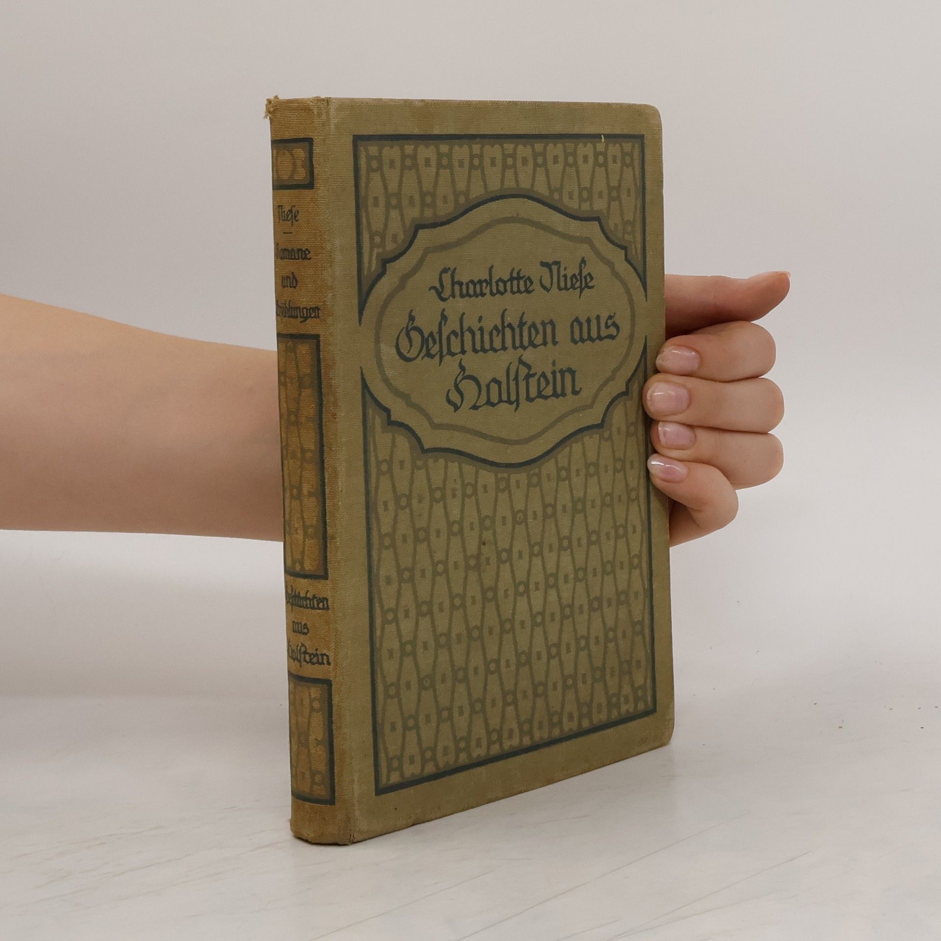 Geschichten aus Holstein