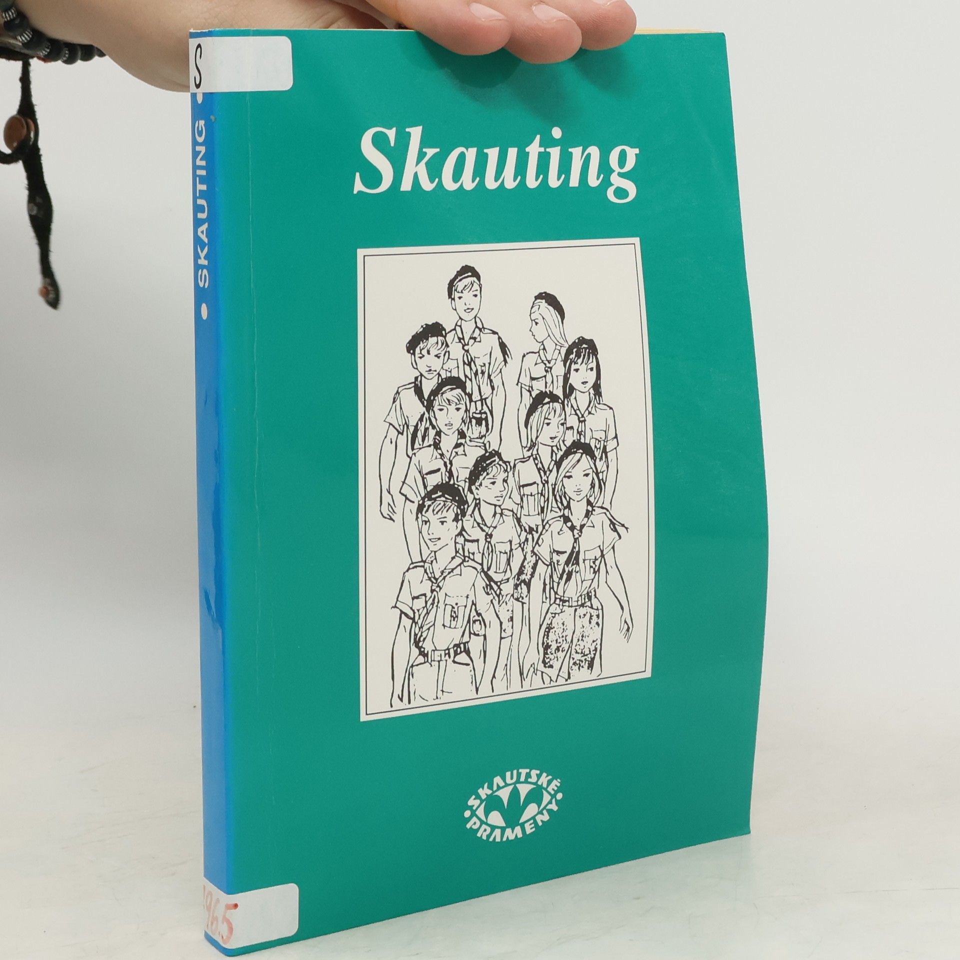 Pierre Joubert Skauting