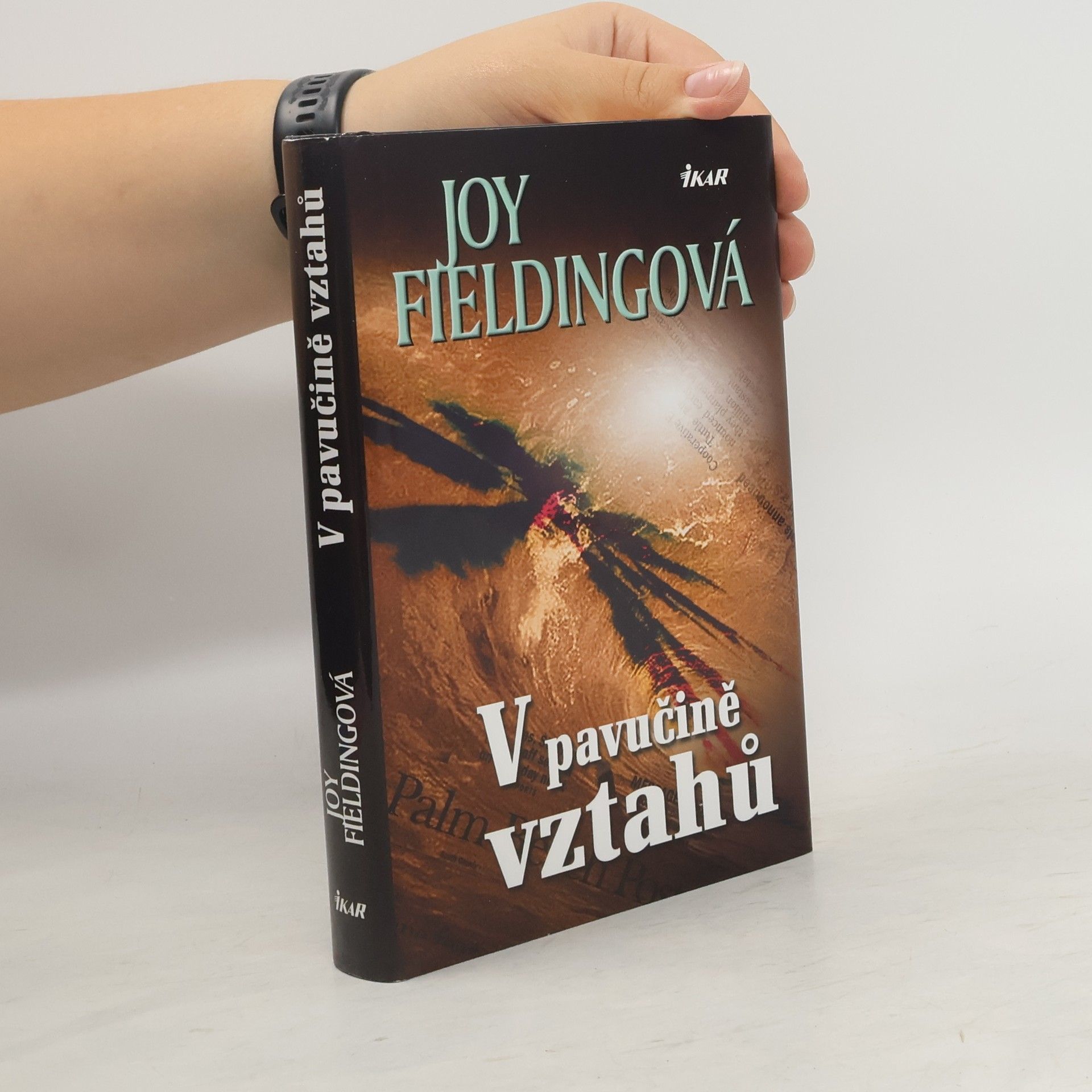 Joy Fielding V pavučině vztahů