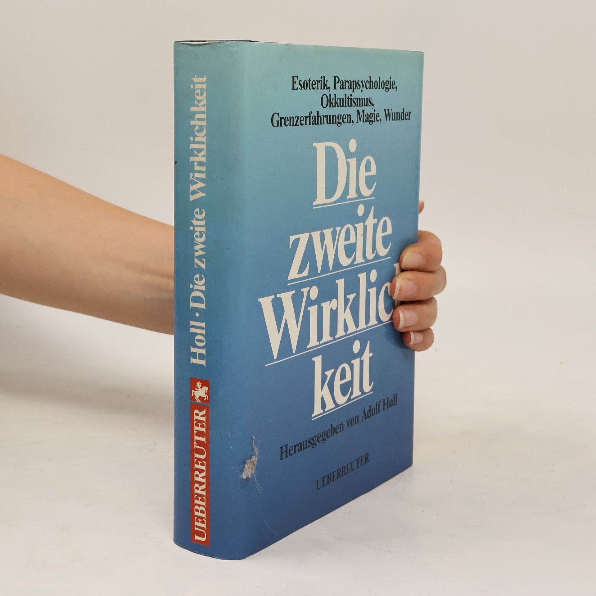 Adolf Holl Die zweite Wirklichkeit