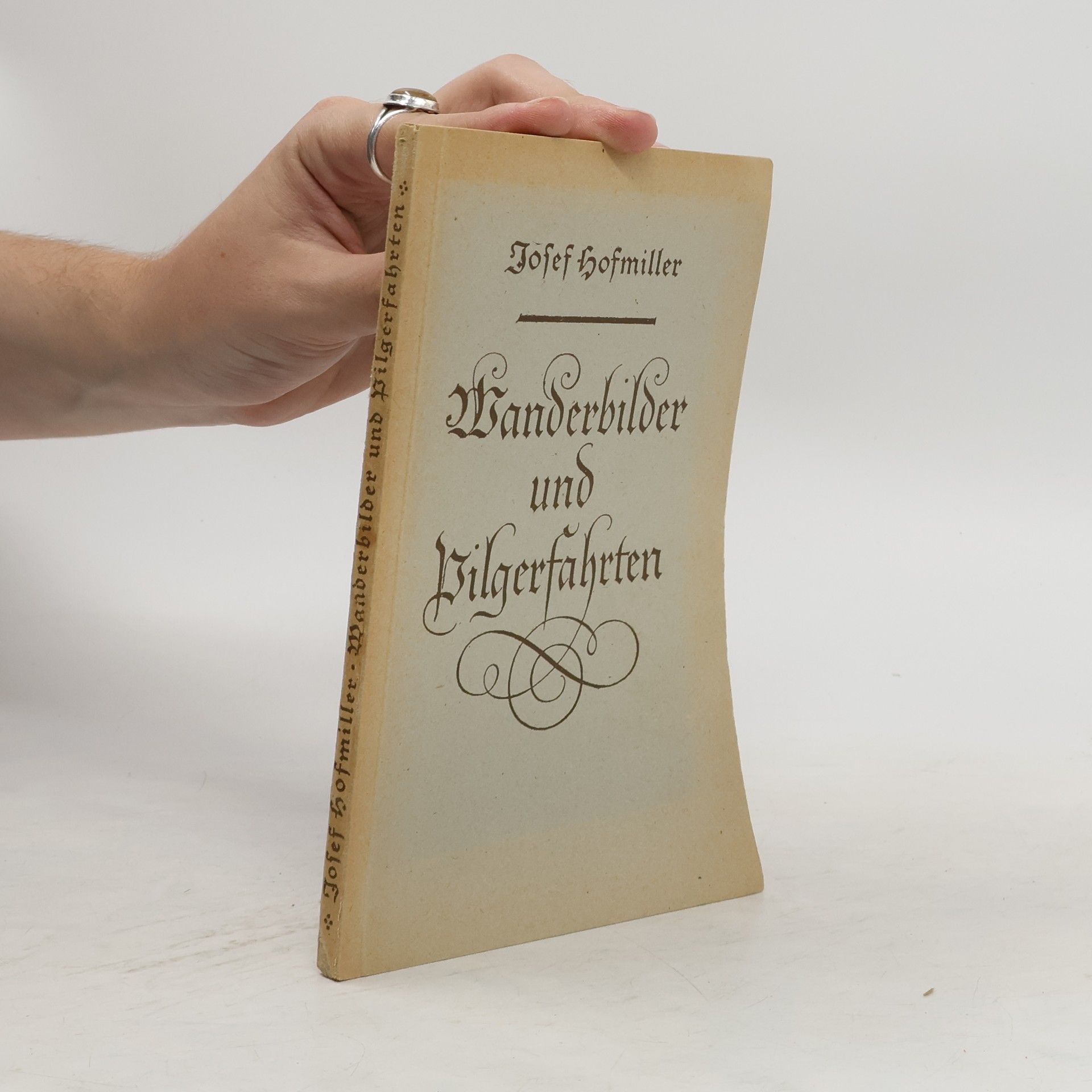 Collectif d'auteurs Wanderbilder und Pilgerfahrten