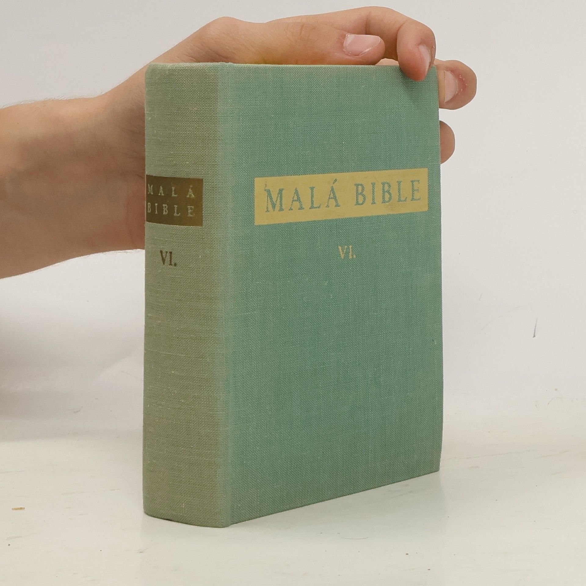 Kolektiv autorů Malá Bible VI