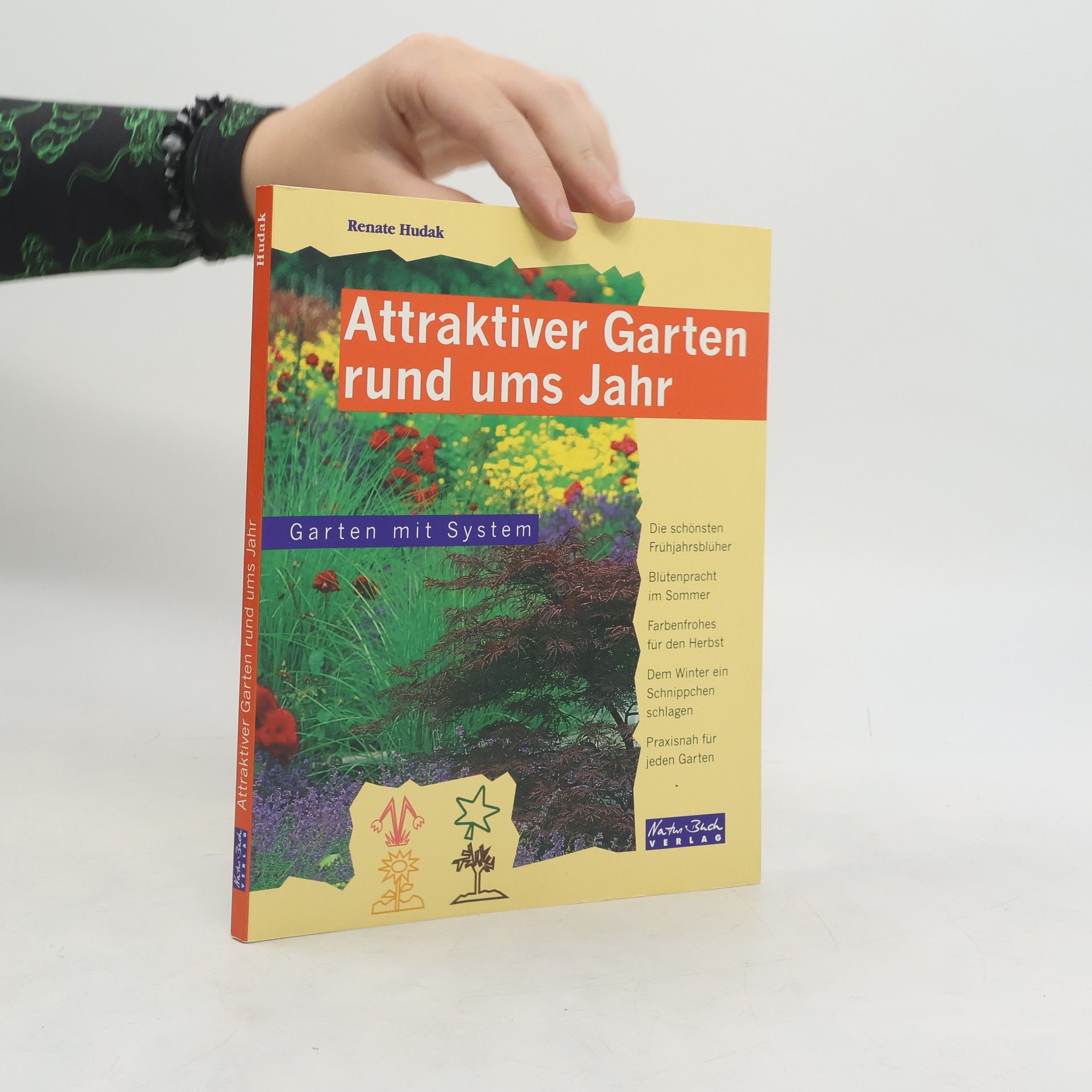 Mircea Ighisan WOW! Wirksam Wirklichkeit erschaffen