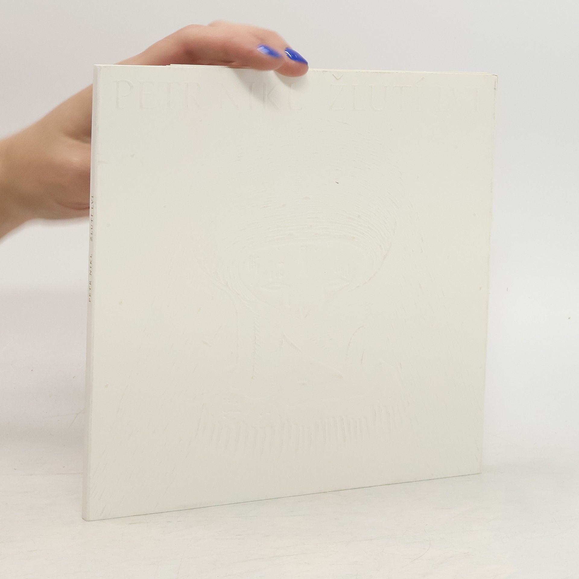 Petr Nikl Žlutí lvi