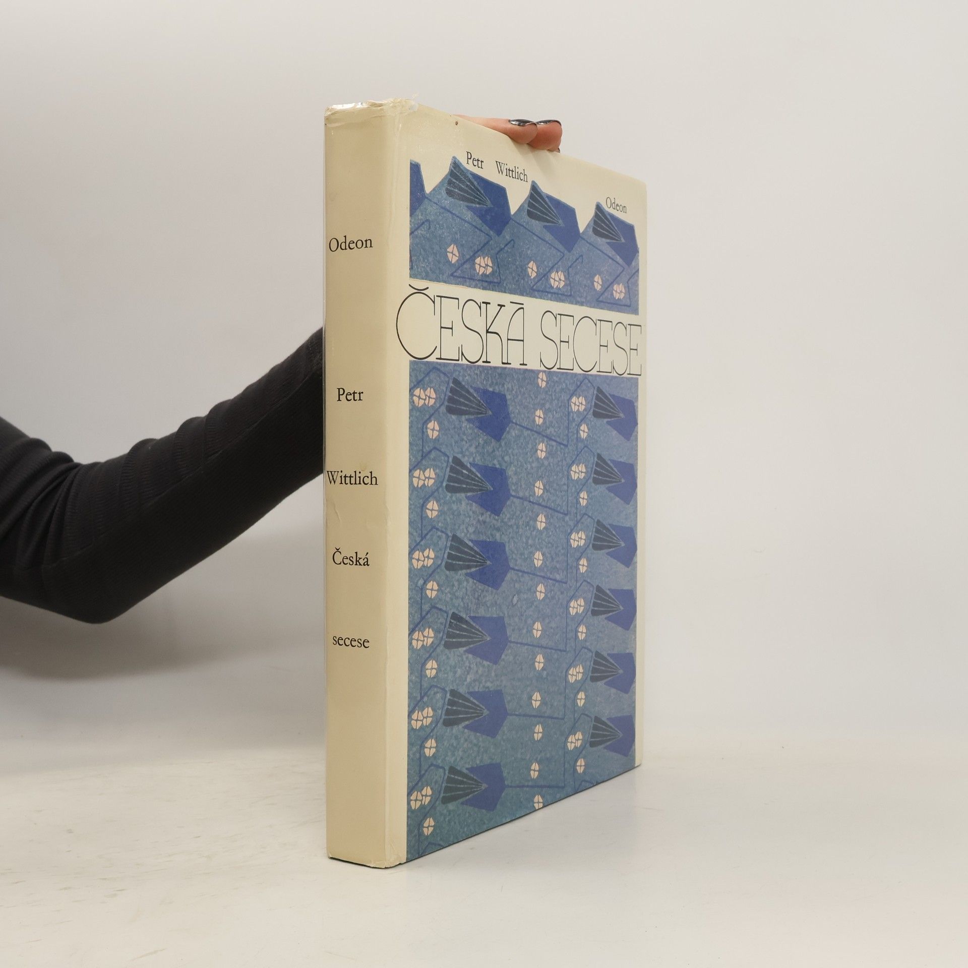 Petr Wittlich Česká secese