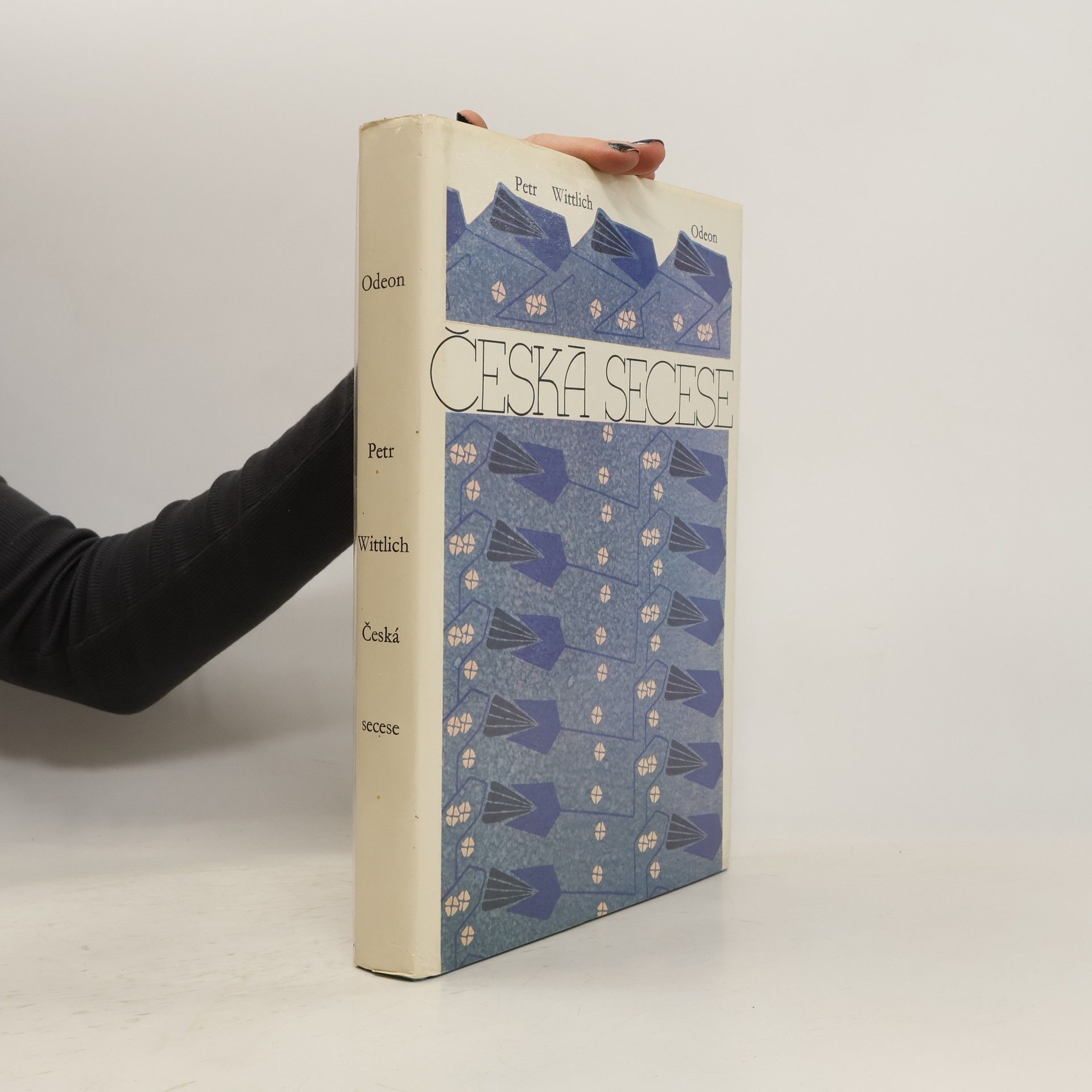 Petr Wittlich Česká secese