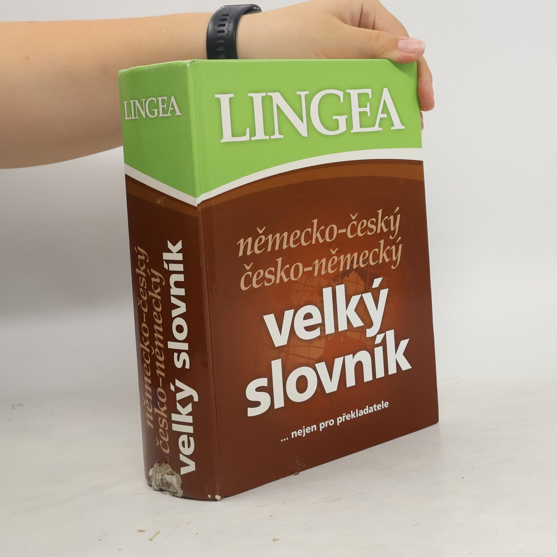 AA.VV. Německo-český česko-německý velký slovník