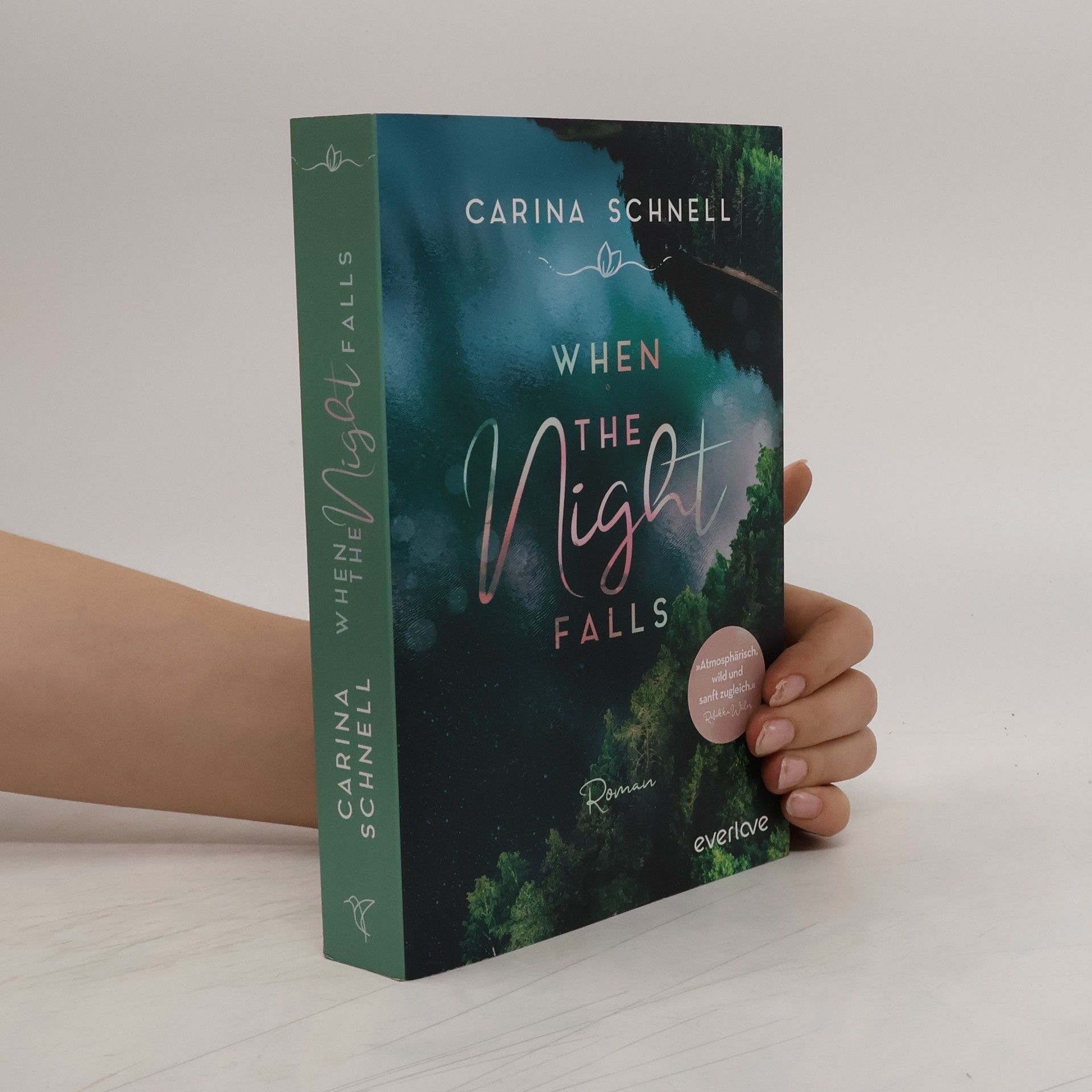 Carina Schnell When the Night Falls