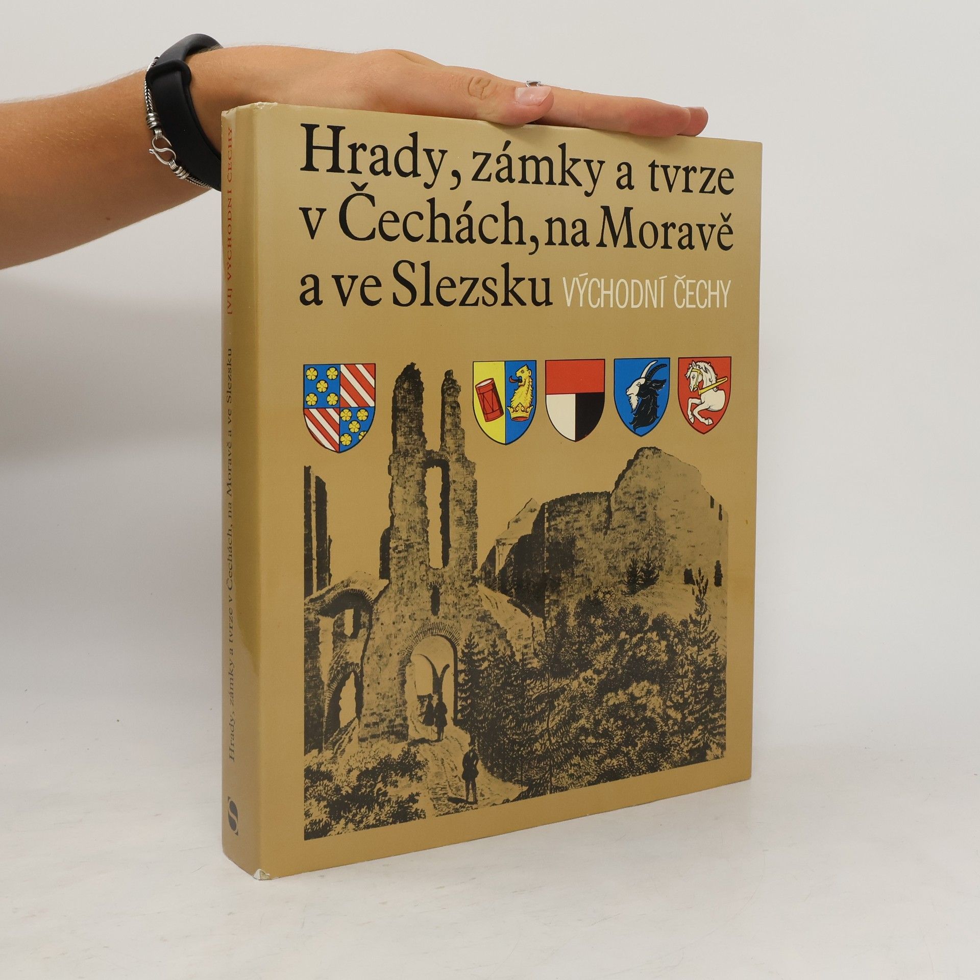 Kolektiv autorů Hrady, zámky a tvrze v Čechách na Moravě a ve Slezsku VI. Východní Čechy