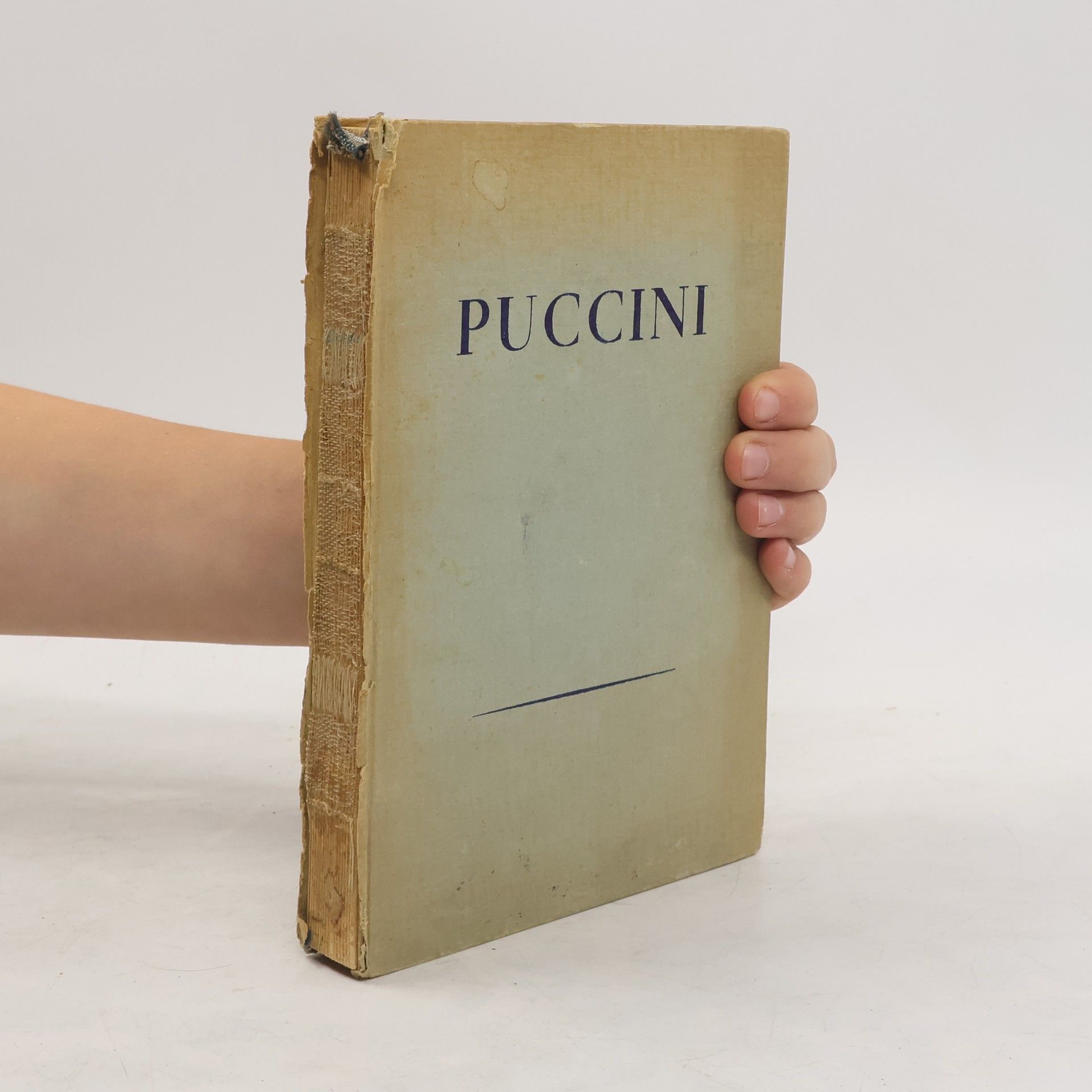 Giacomo Puccini. Briefe des Meisters