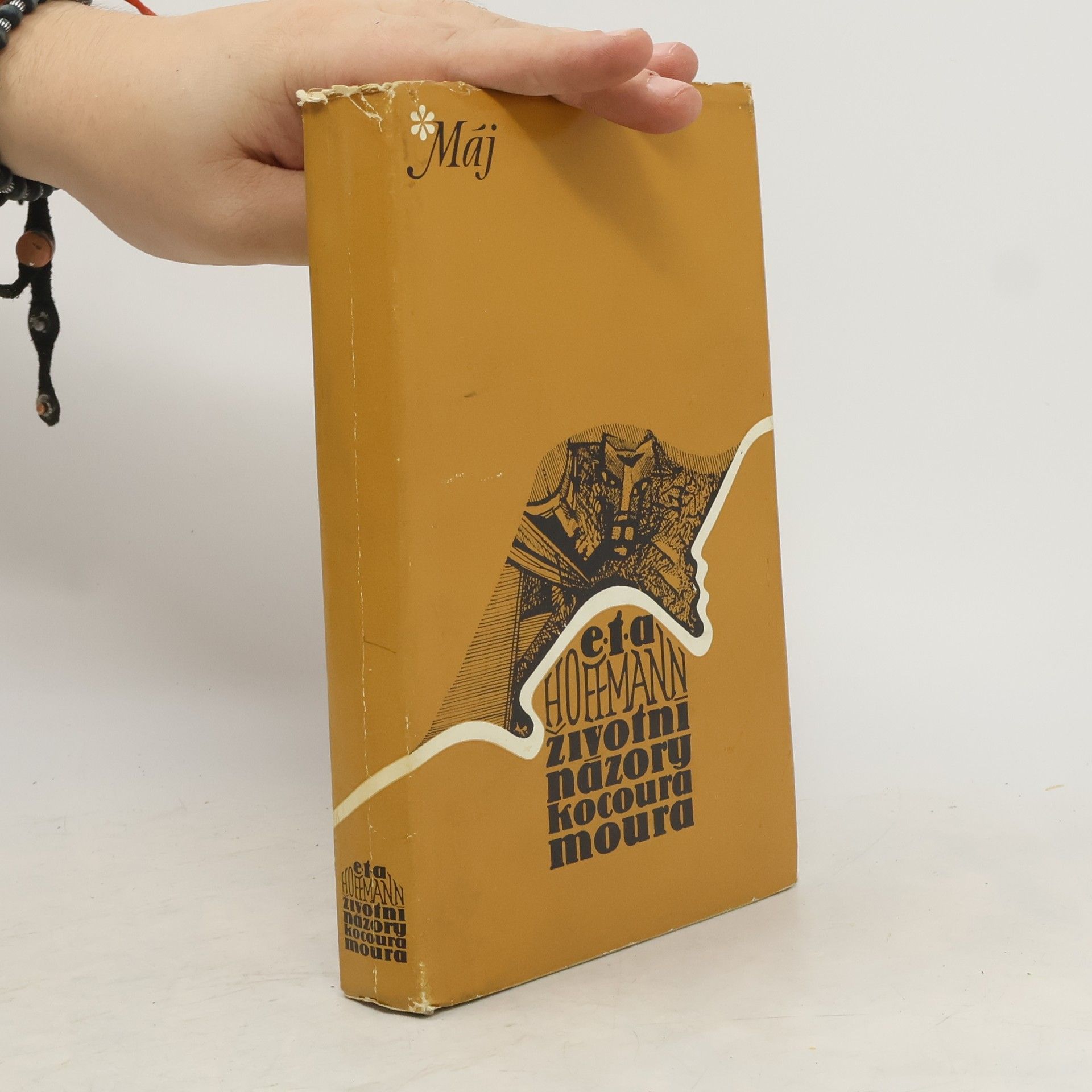 Životní názory kocoura Moura