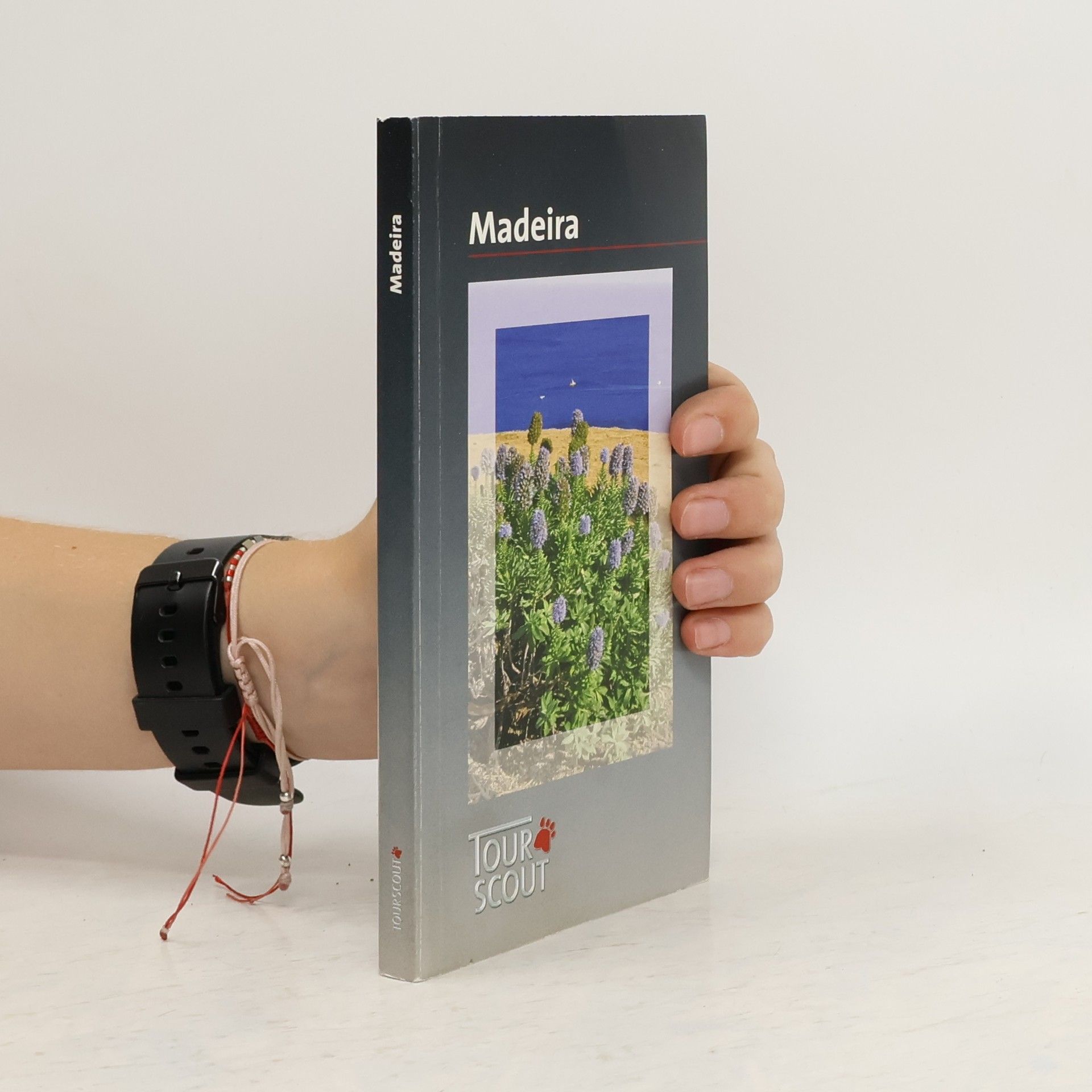 Andrea Flinn Madeira