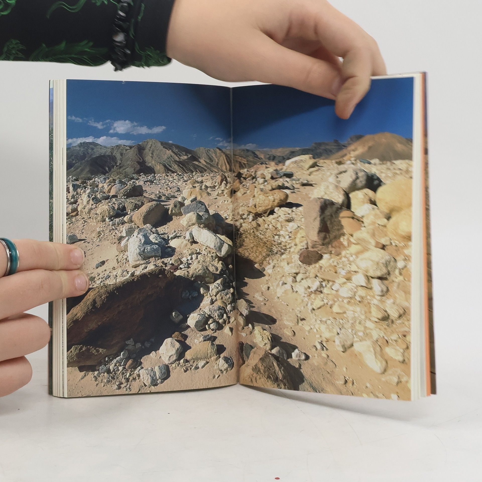 Michel Rauch Sinai und Rotes Meer