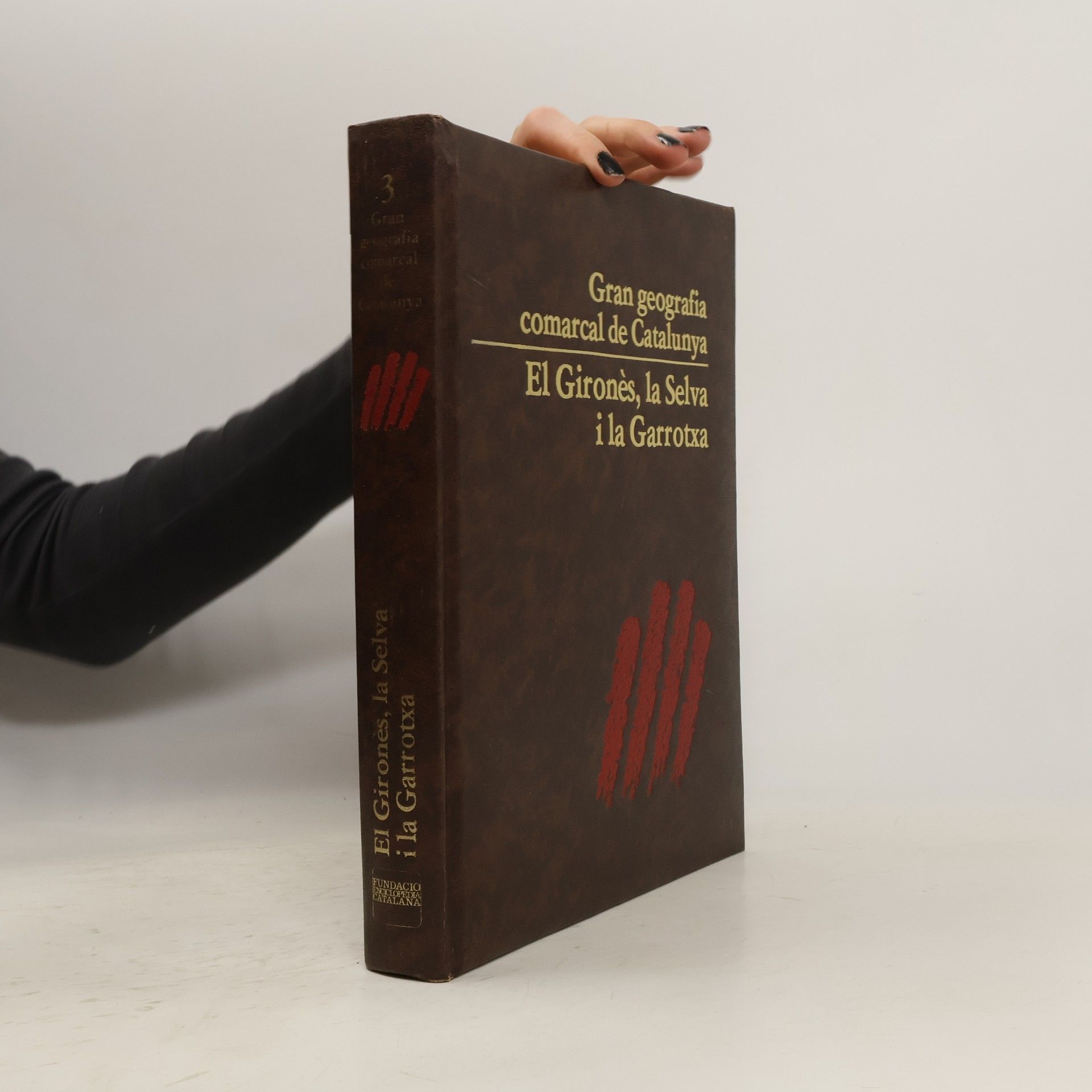 Collectif d'auteurs Gran geografia comarcal de Catalunya 3