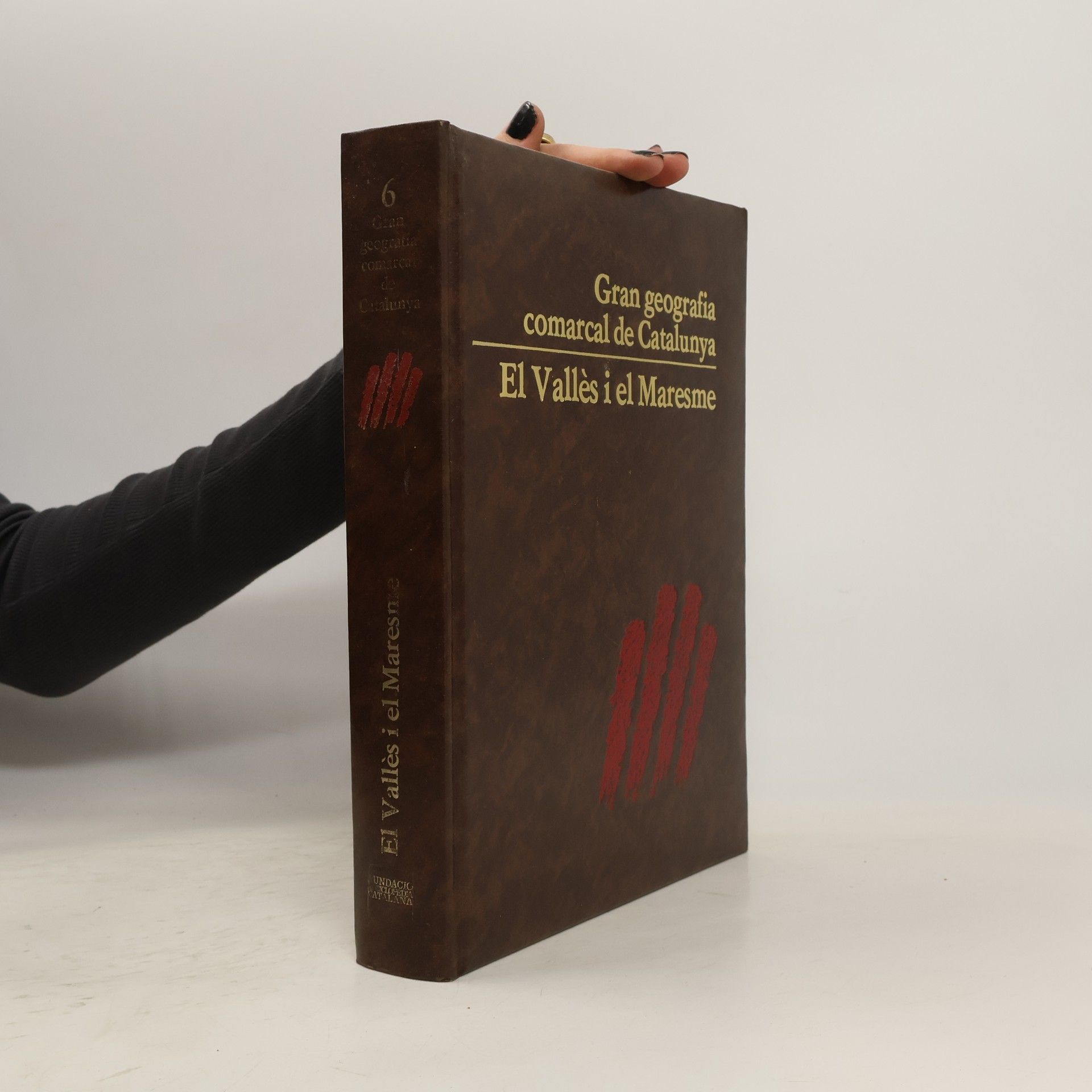 Collectif d'auteurs Gran geografía comarcal de Catalunya 6