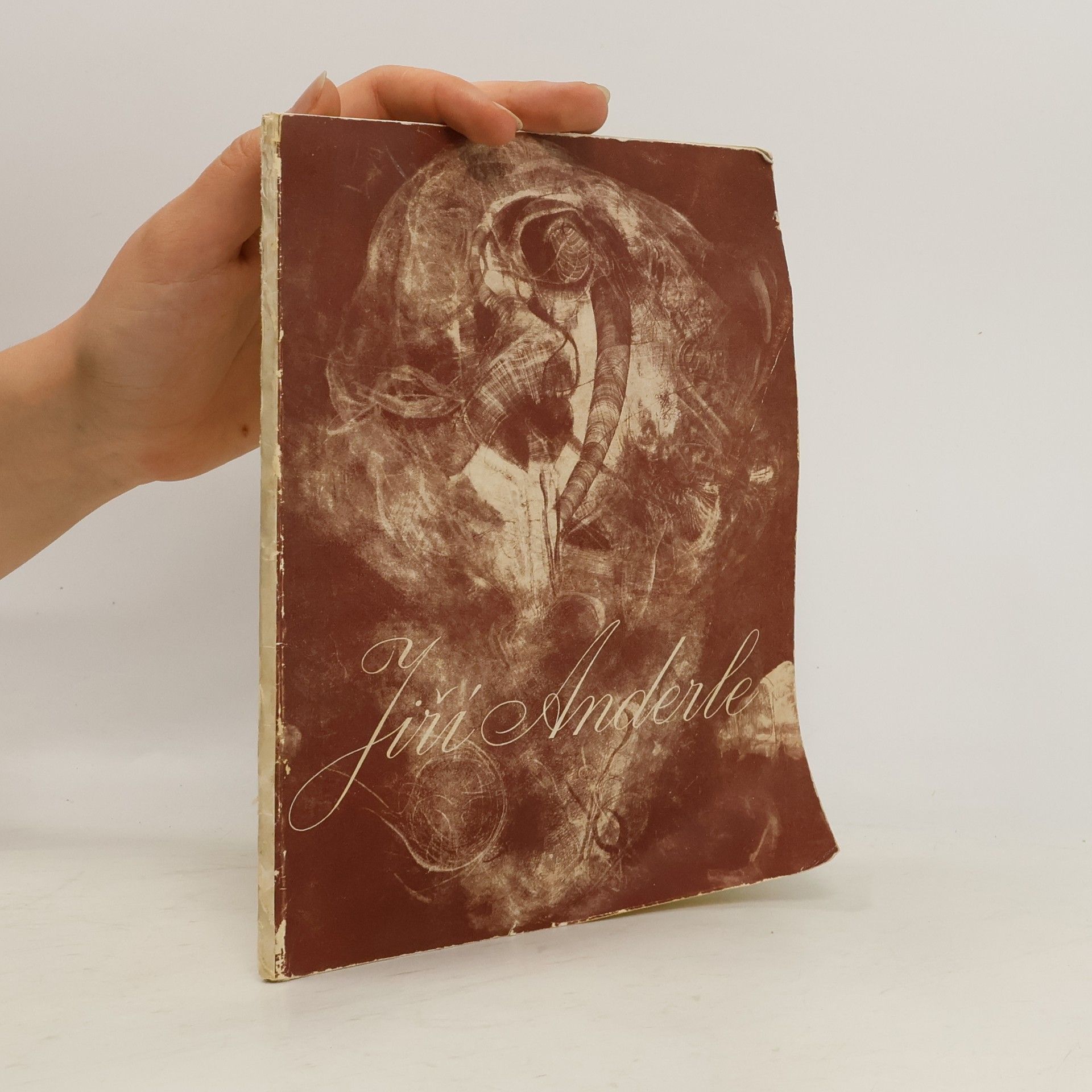 Collectif d'auteurs Jiří Anderle