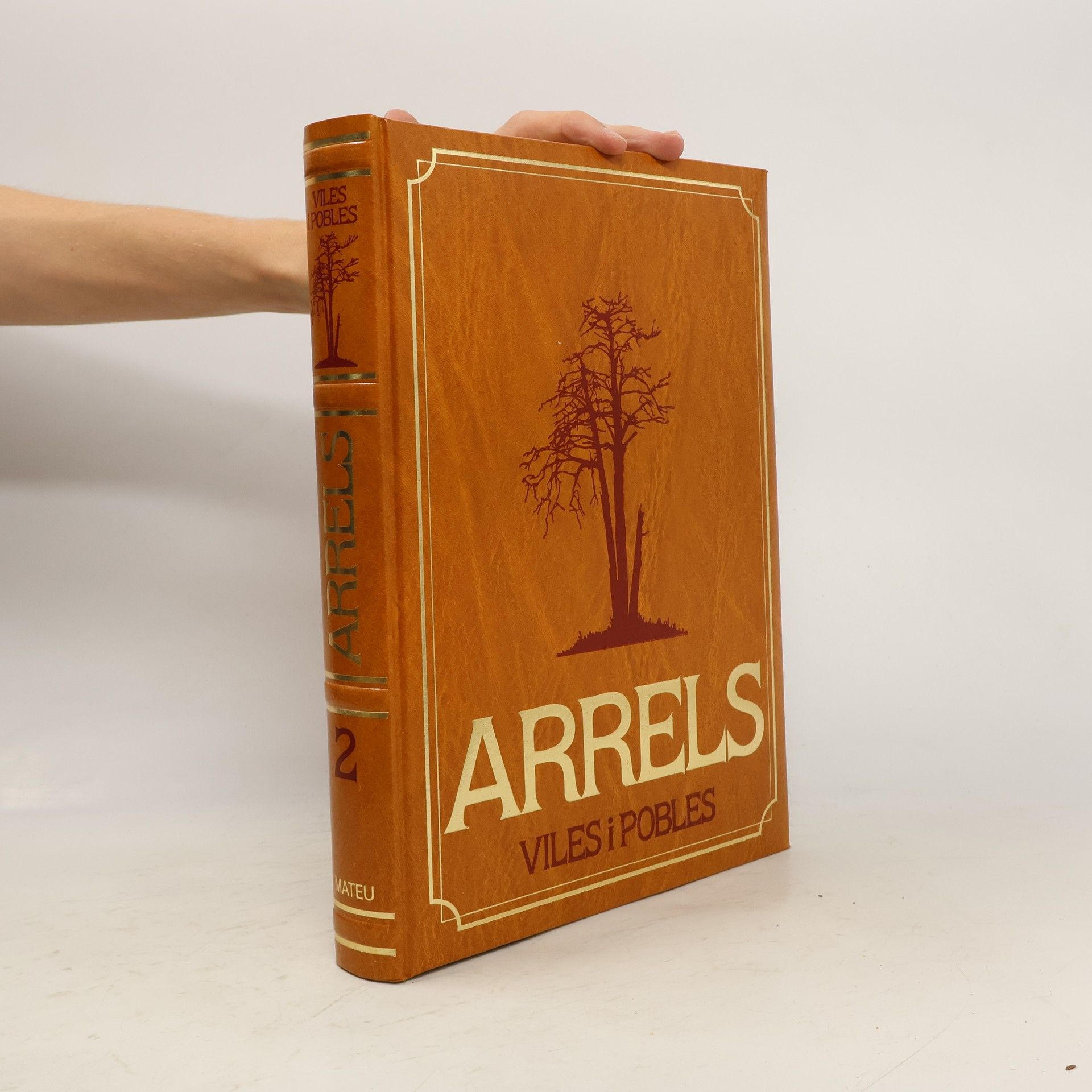 Autores varios Arrels 2