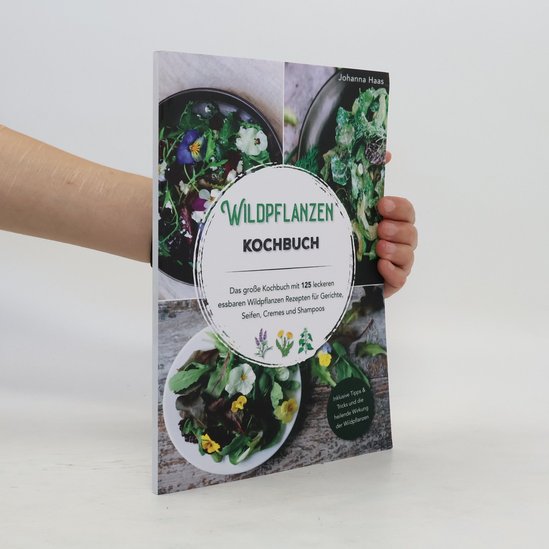 Johanna Haas Wildpflanzen Kochbuch