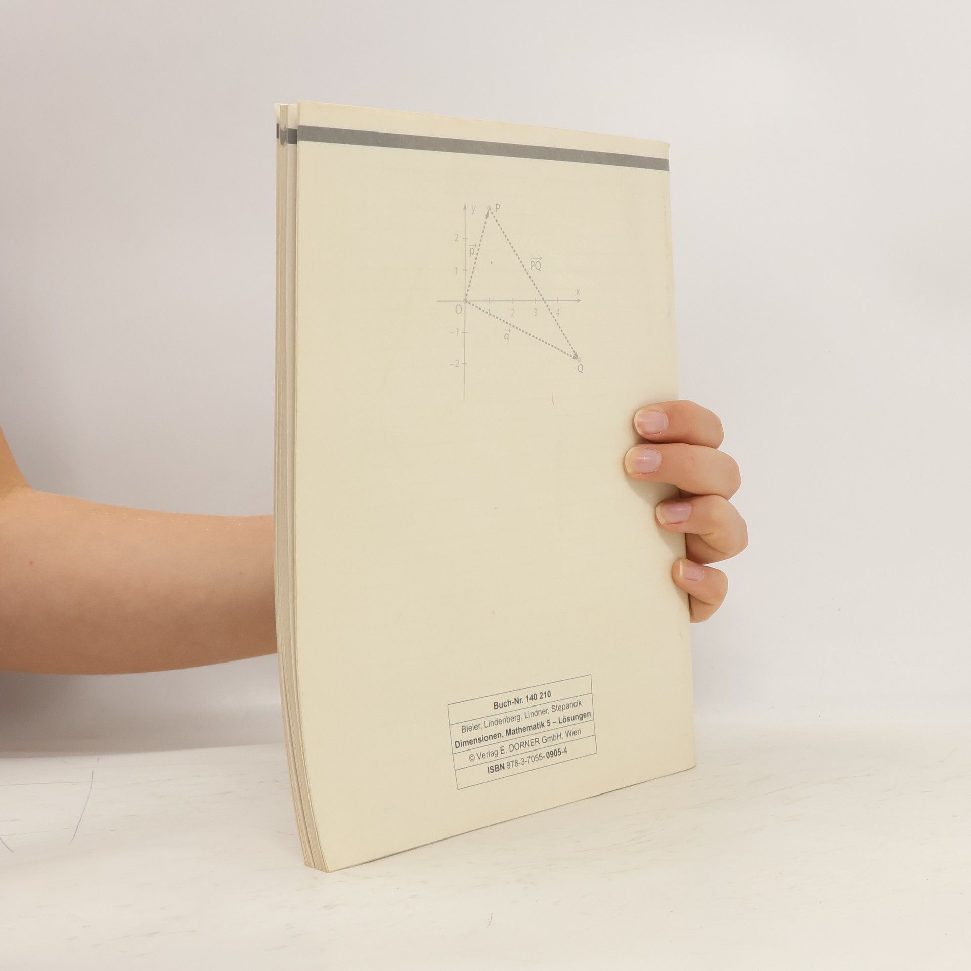 Collectif d'auteurs Dimensionen - Mathematik. 5 : Lösungen