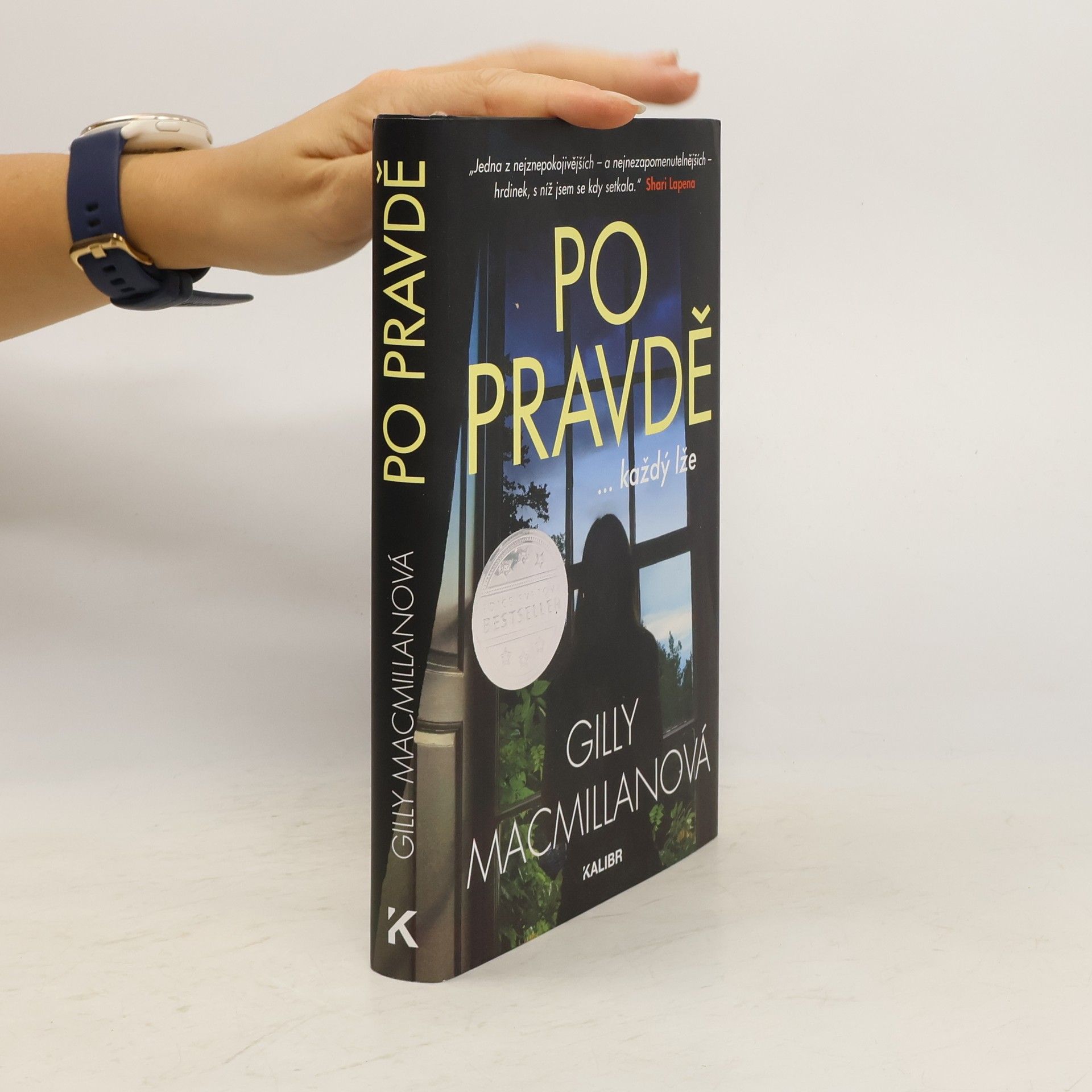 Gilly Macmillan Po pravdě ...každý lže