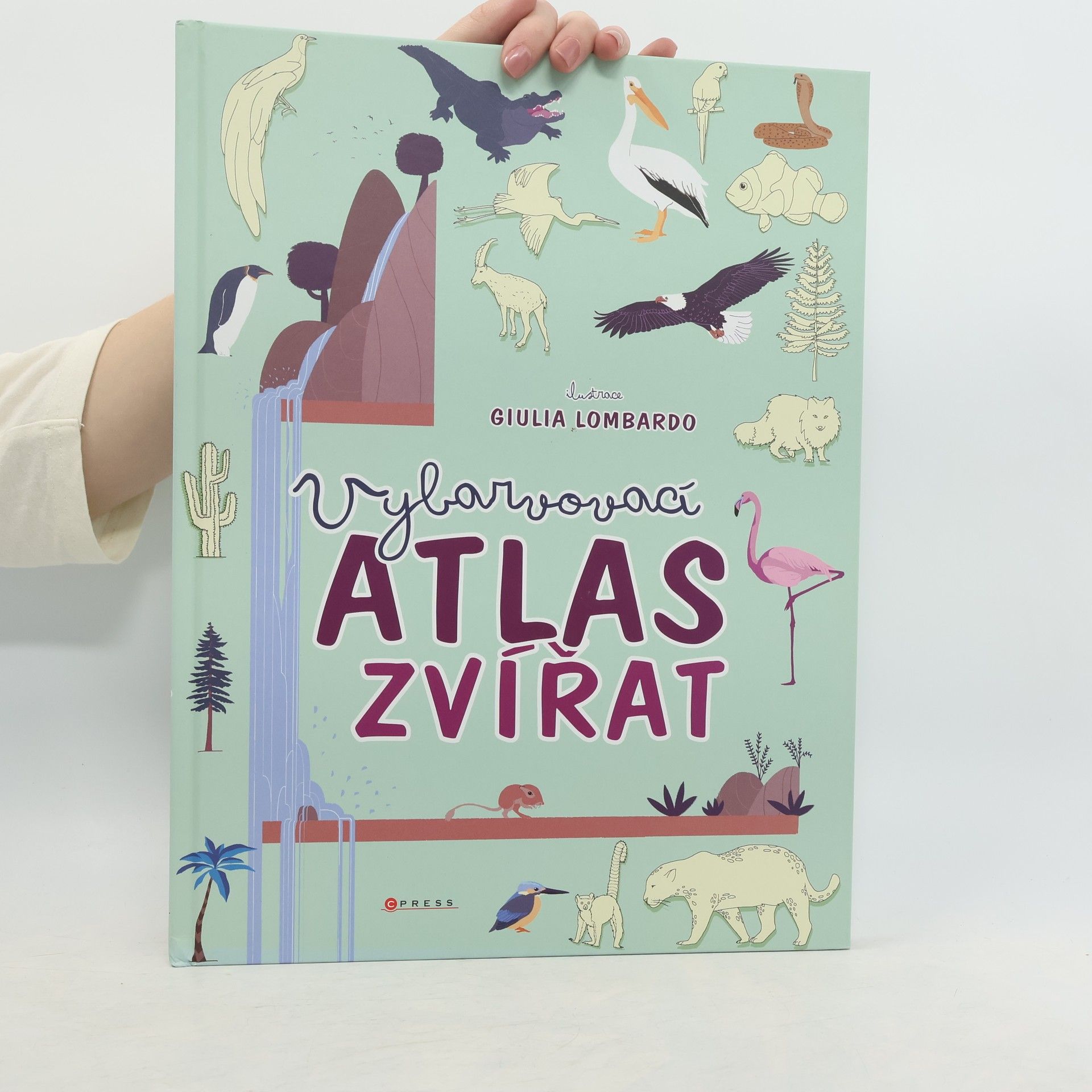 Vybarvovací atlas zvířat