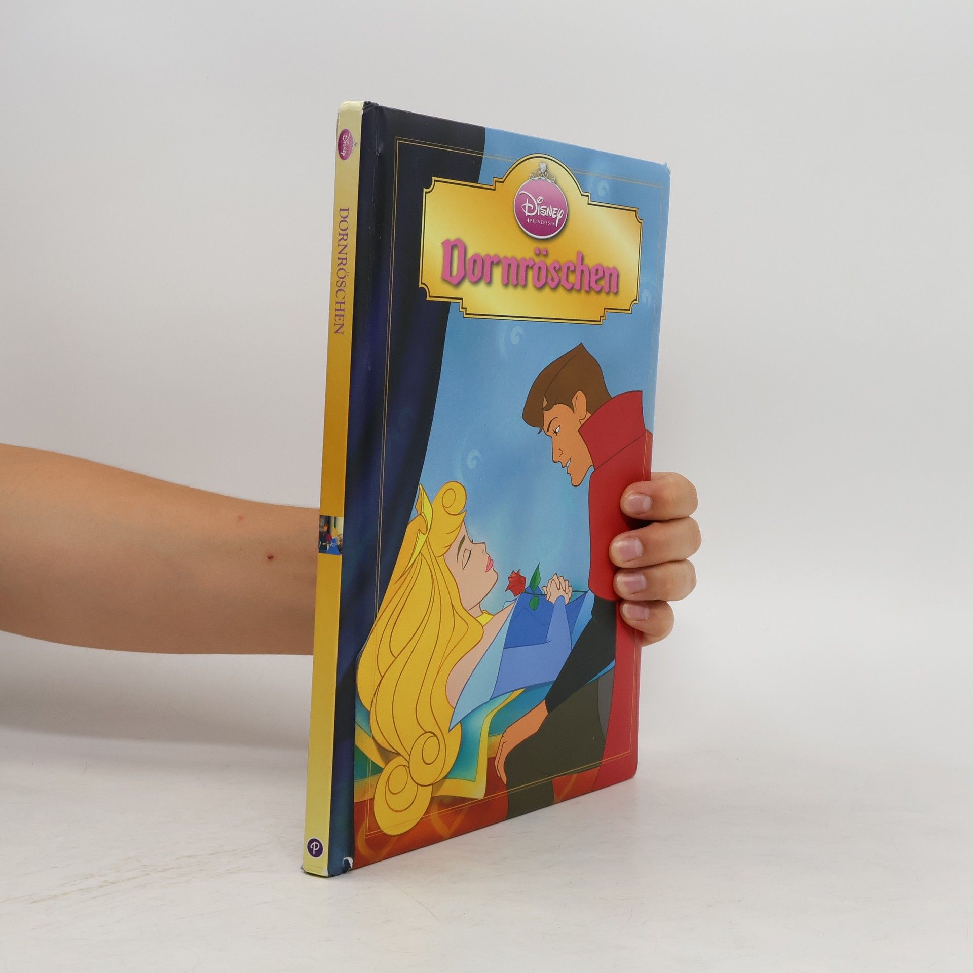 kolektiv Dornröschen