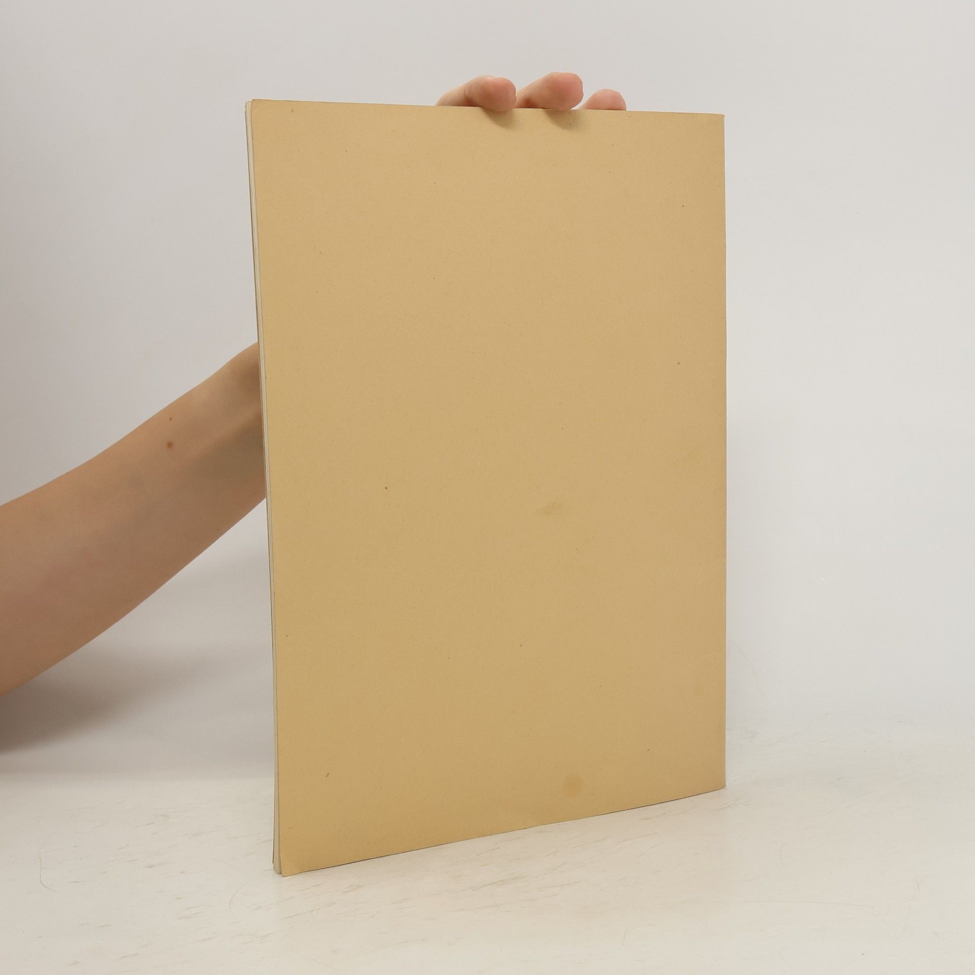 Kolektiv autorů Okružní list svatého otce Jana XXIII.