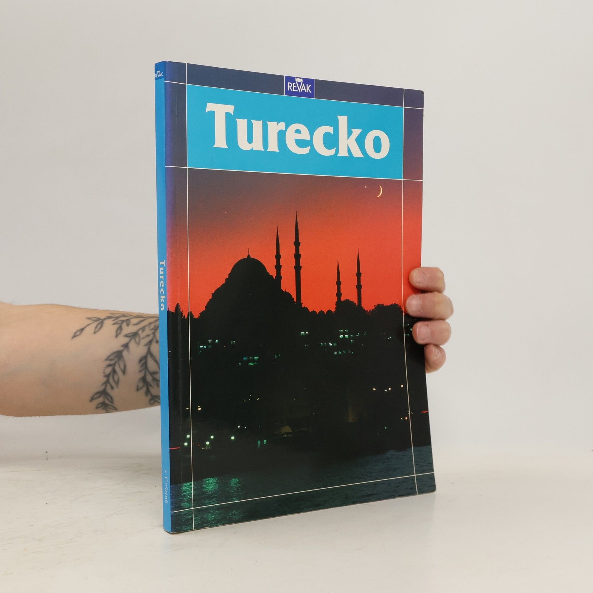 Kolektiv autorů Turecko