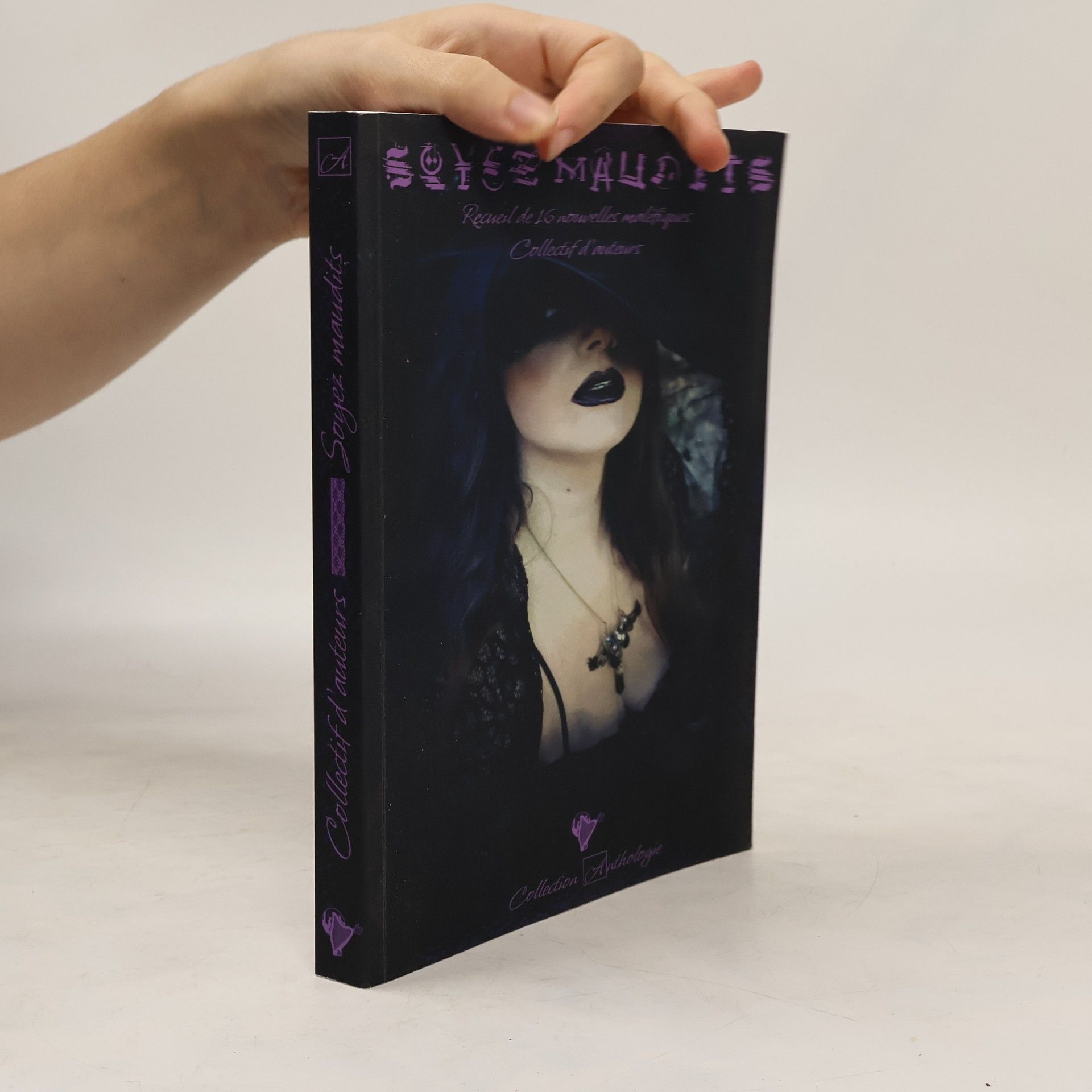 Marc Boyer Bressolles Anthologie: Soyez maudits