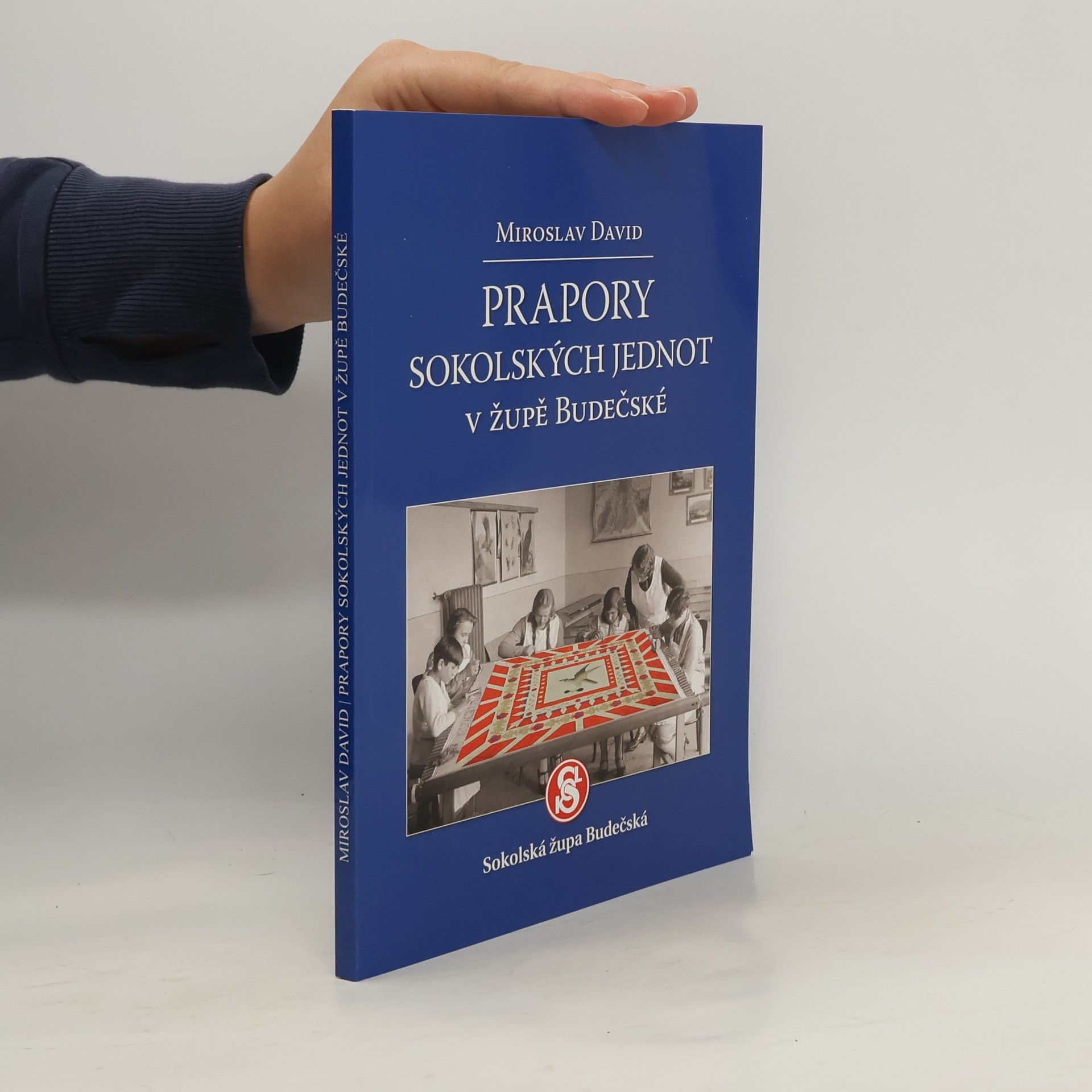 Miroslav David Prapory sokolských jednot v župě Budečské