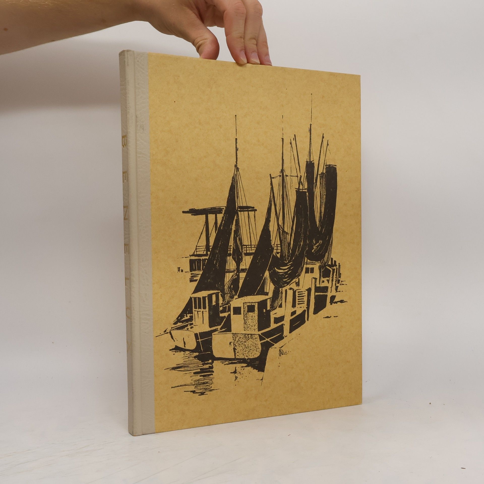 Autorenkollektiv Benelux Niederlande-Belgien-Luxemburg