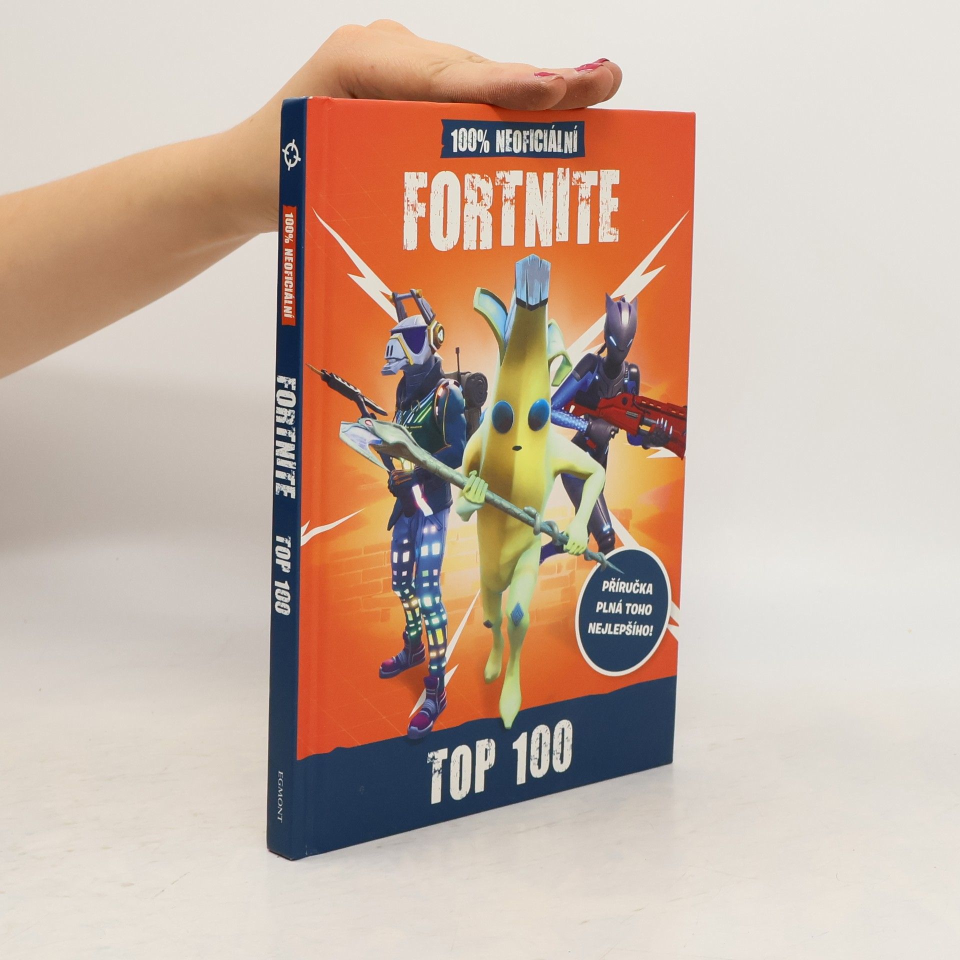 Fortnite : 100% neoficiální top 100
