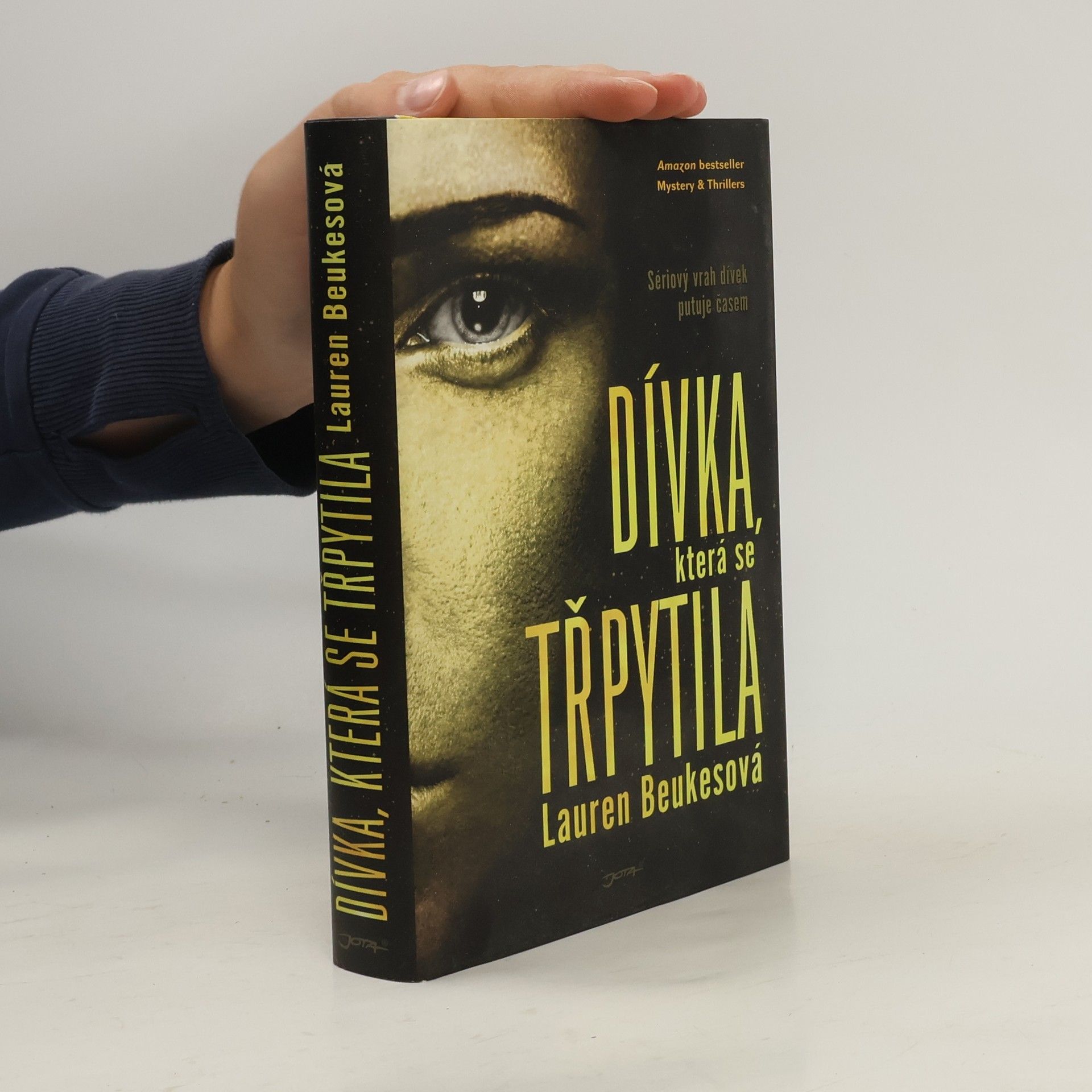 Lauren Beukes Dívka, která se třpytila