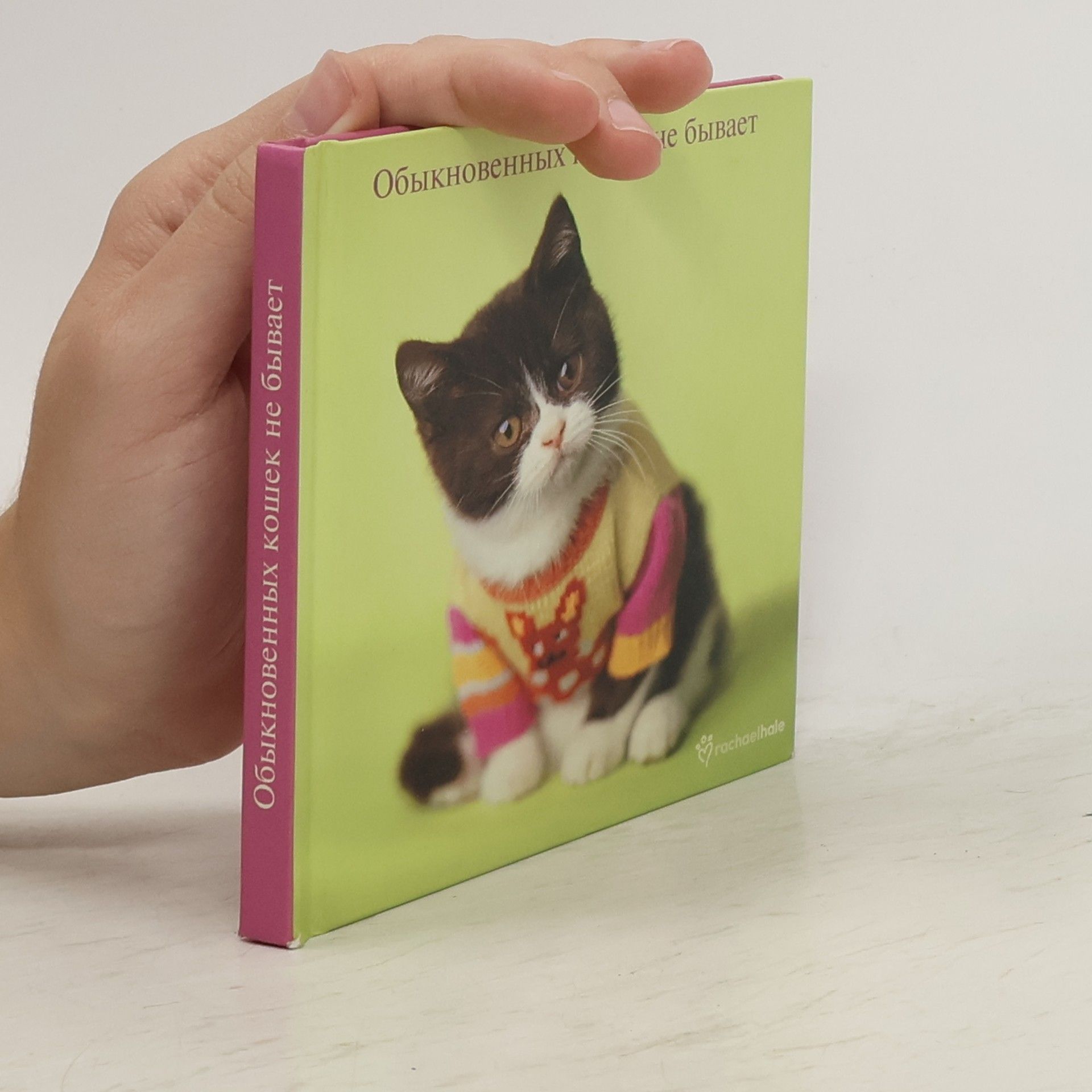 There Are No Ordinary Cats.