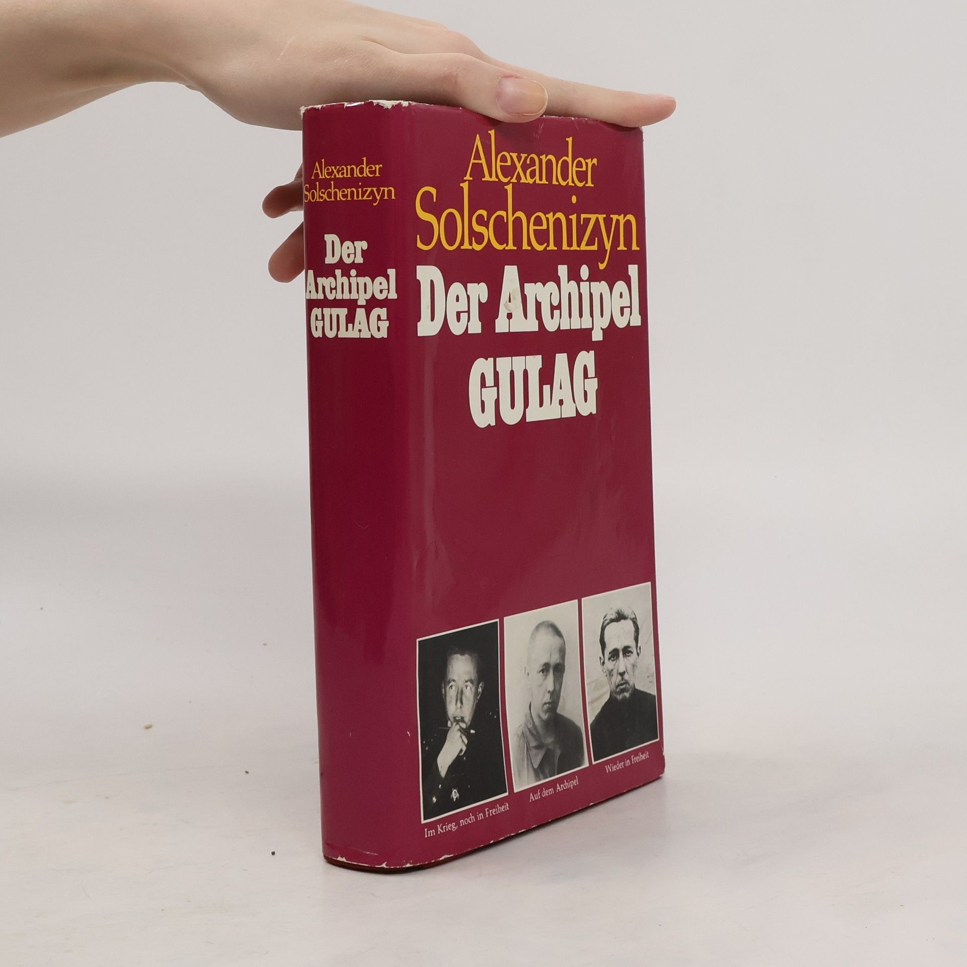 Aleksandr Solzhenitsyn Der Archipel Gulag