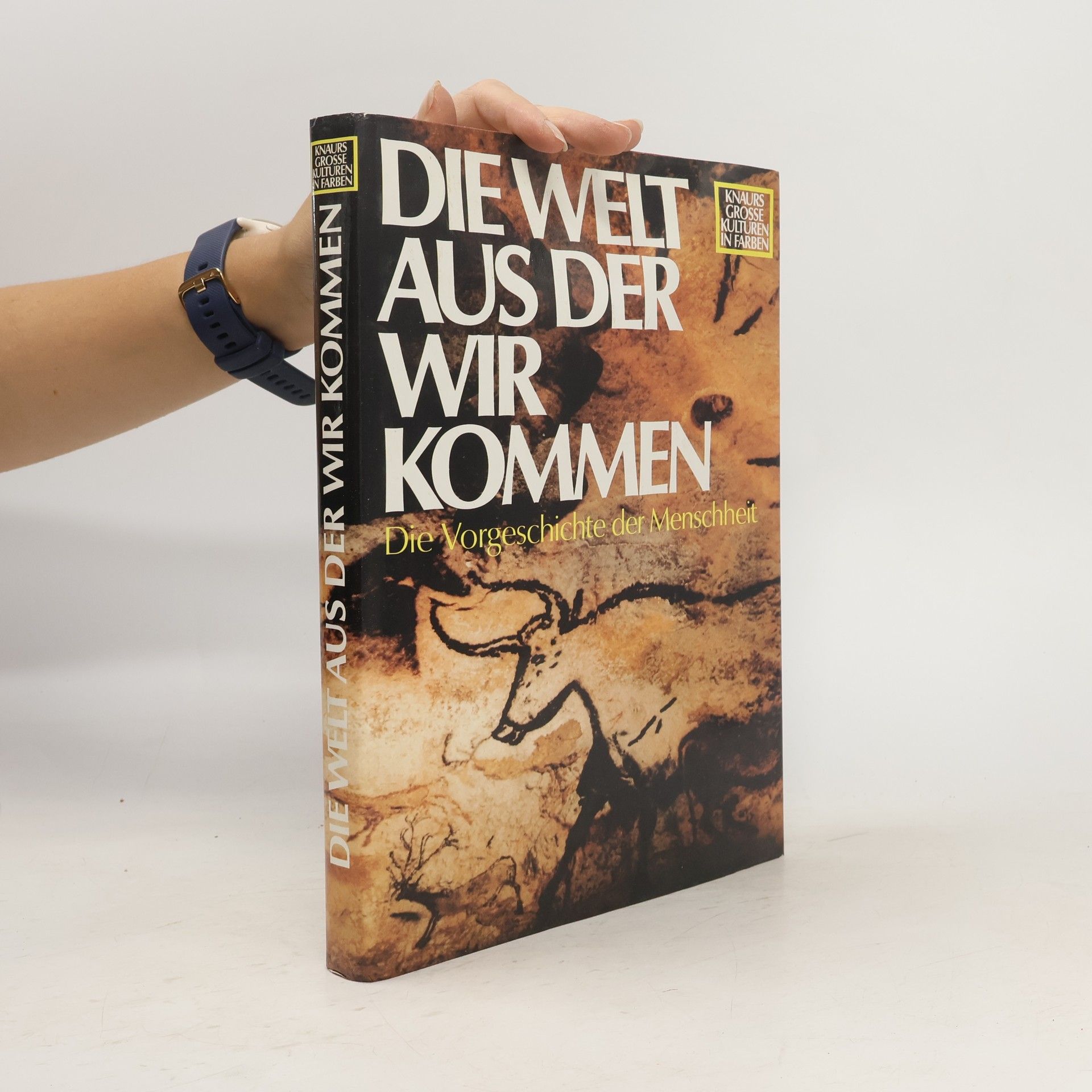 Collectif d'auteurs Die Welt aus der wir kommen