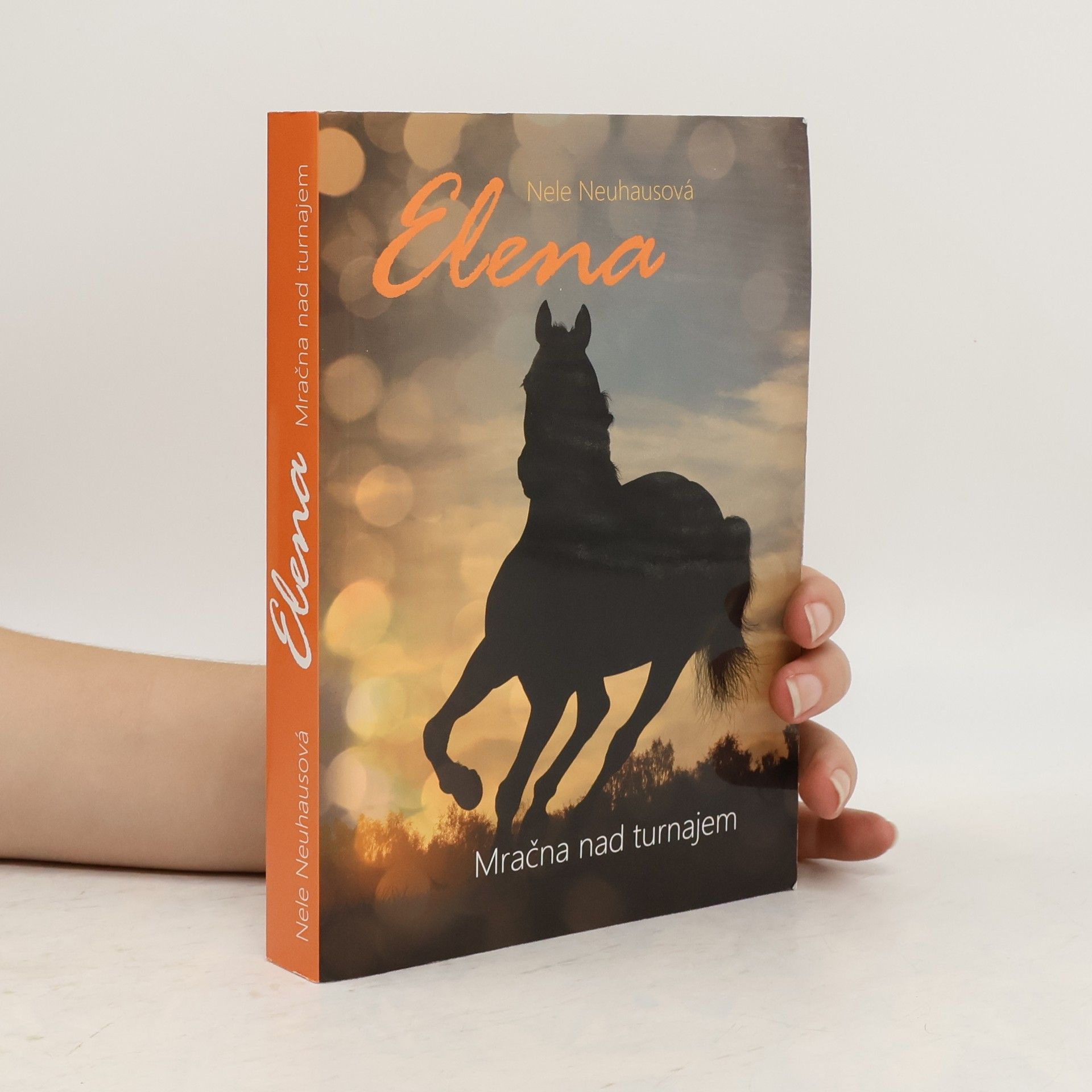 Mračna nad turnajem