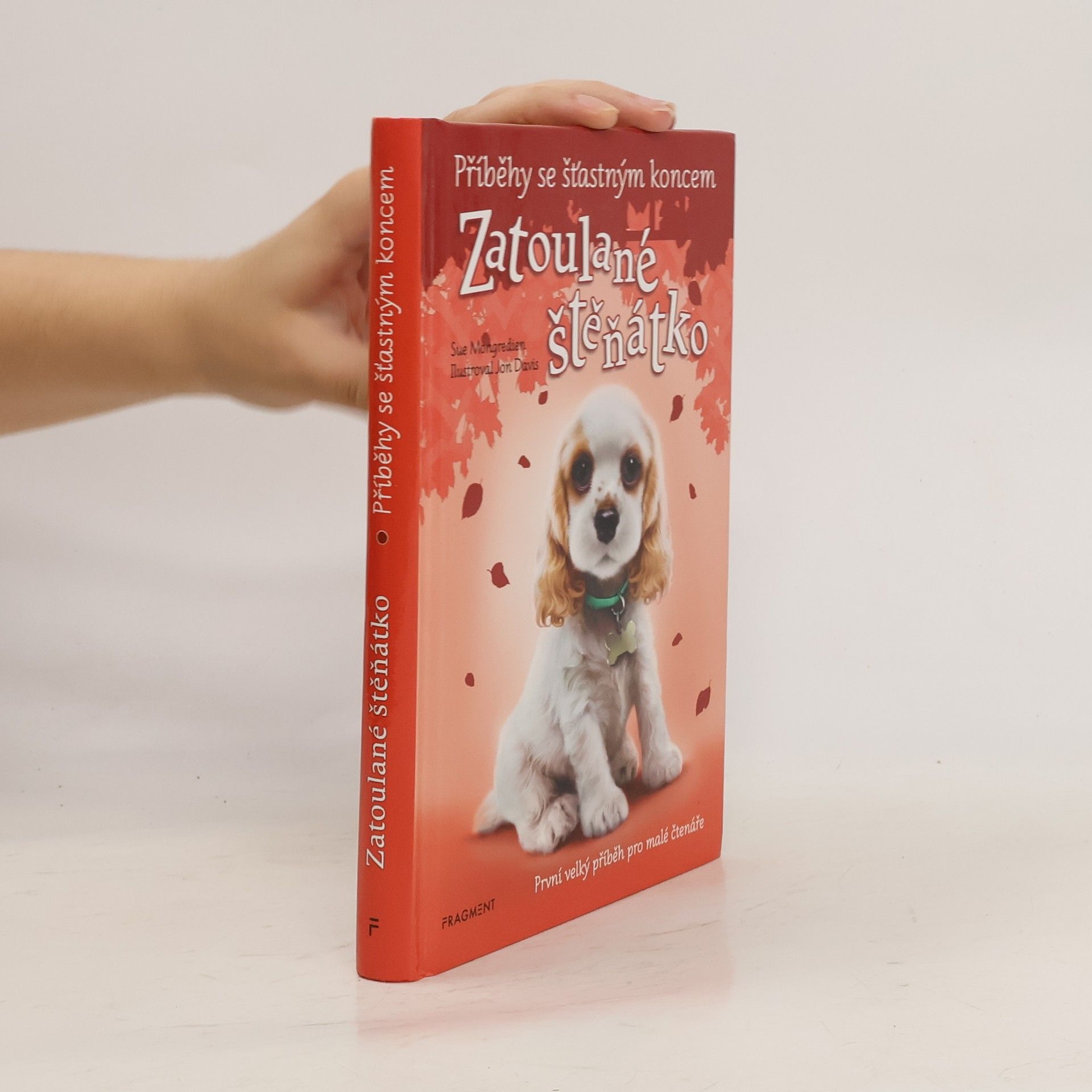 Jon Davis Zatoulané štěňátko