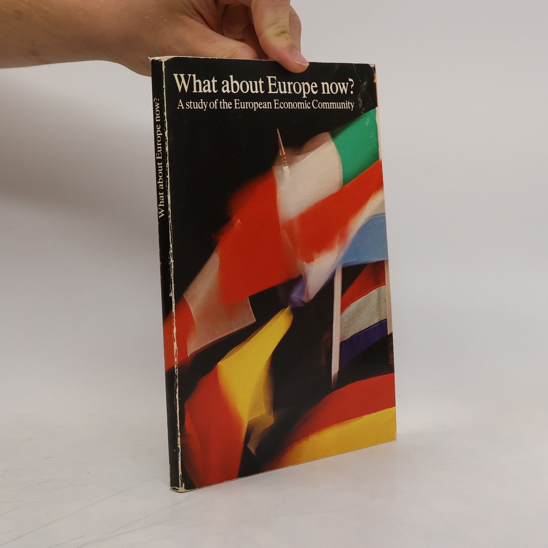 Collectif d'auteurs What About Europe Now?