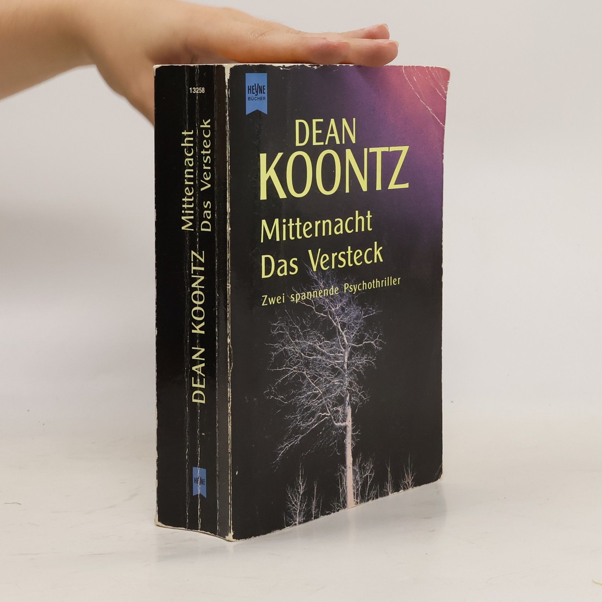 Dean R. Koontz Mitternacht