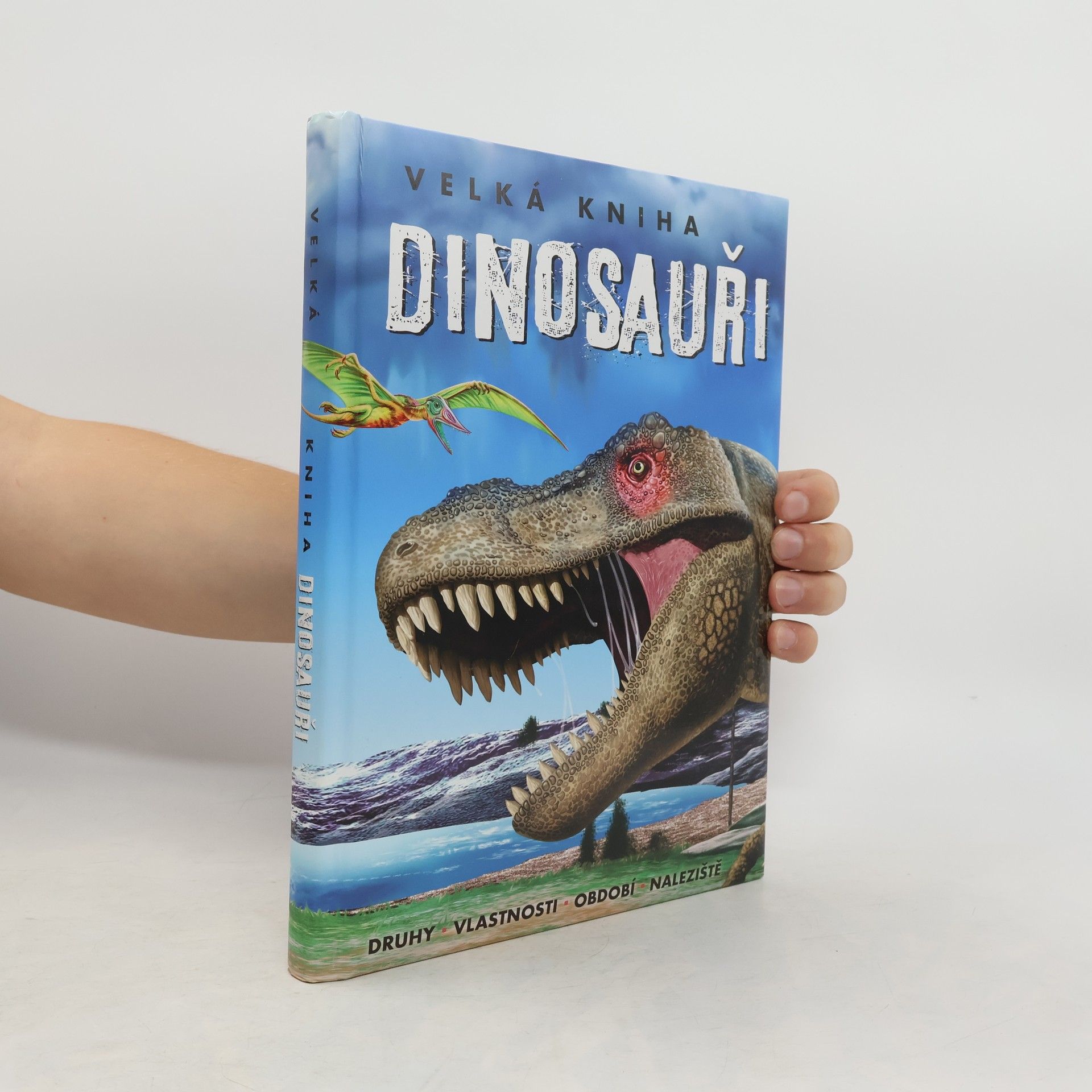 Autorenkollektiv Velká kniha. Dinosauři