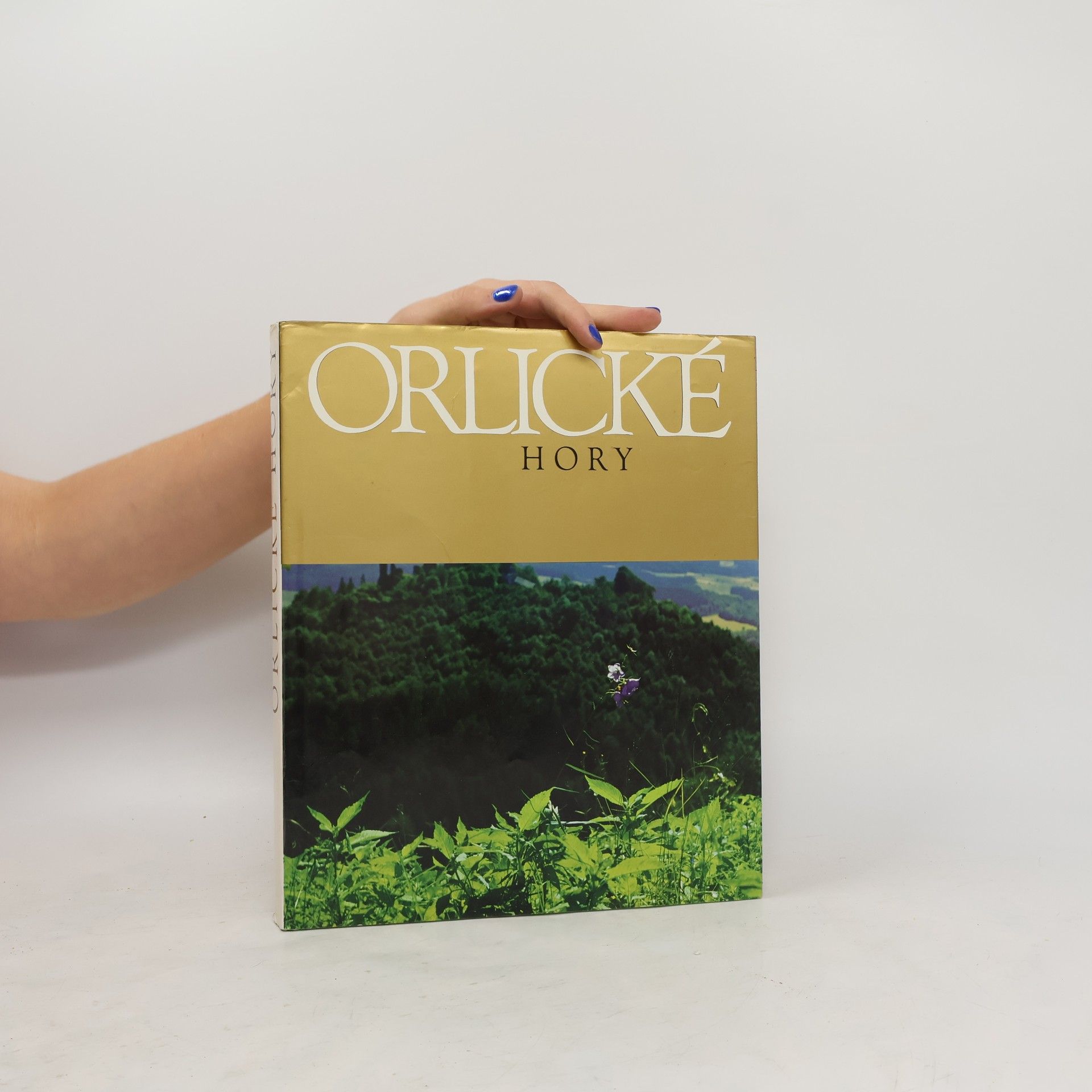 Karel Michal Orlické hory