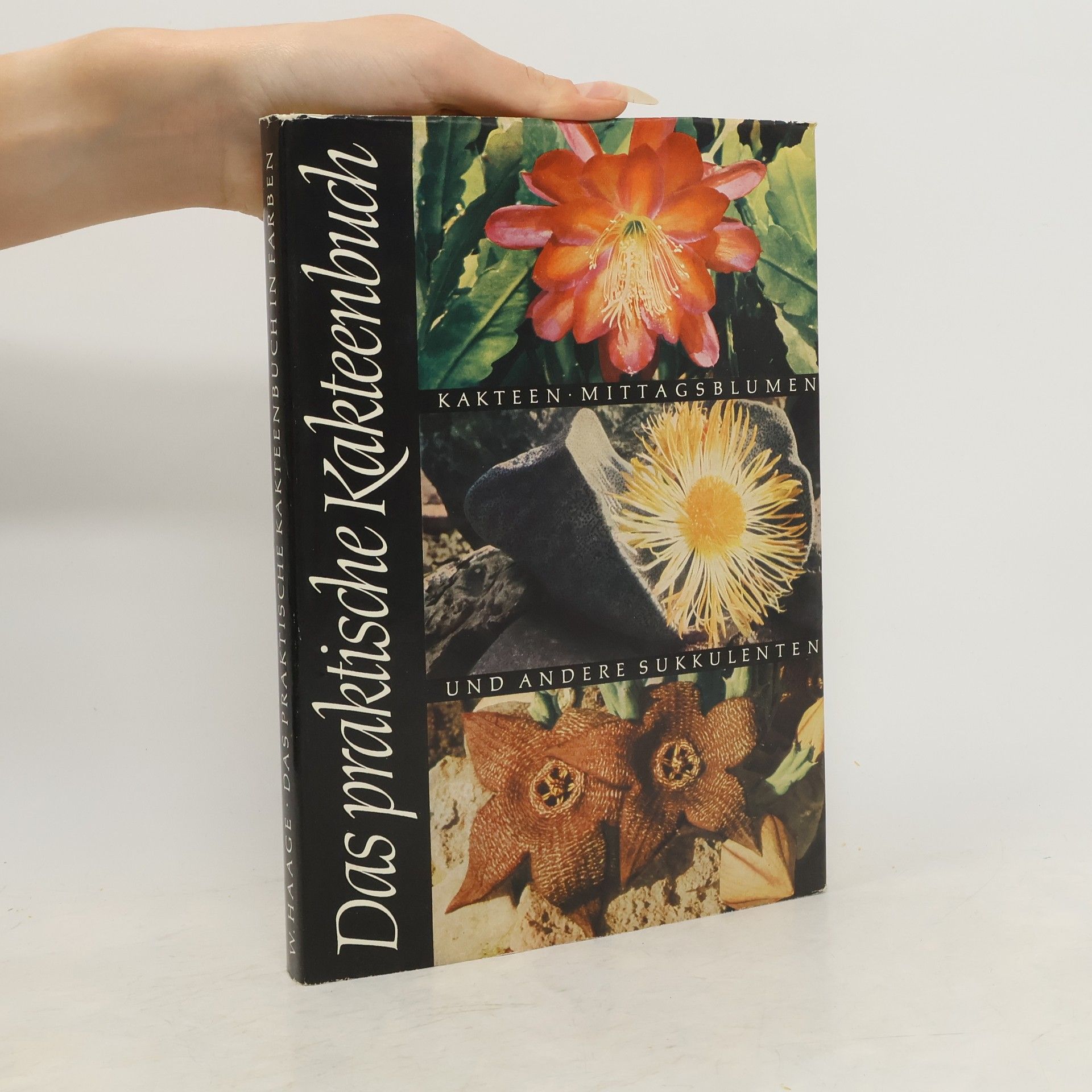 W. Haage Das Praktische Kakteenbuch in Farben